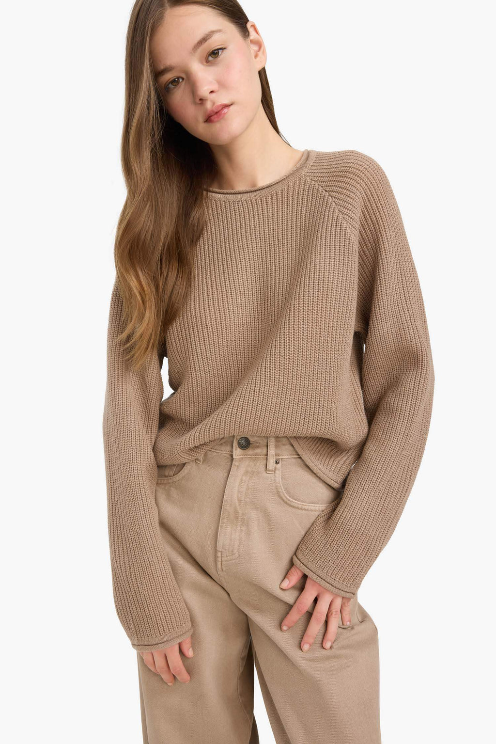 Regular Fit Crew Neck Knitwear Sweater