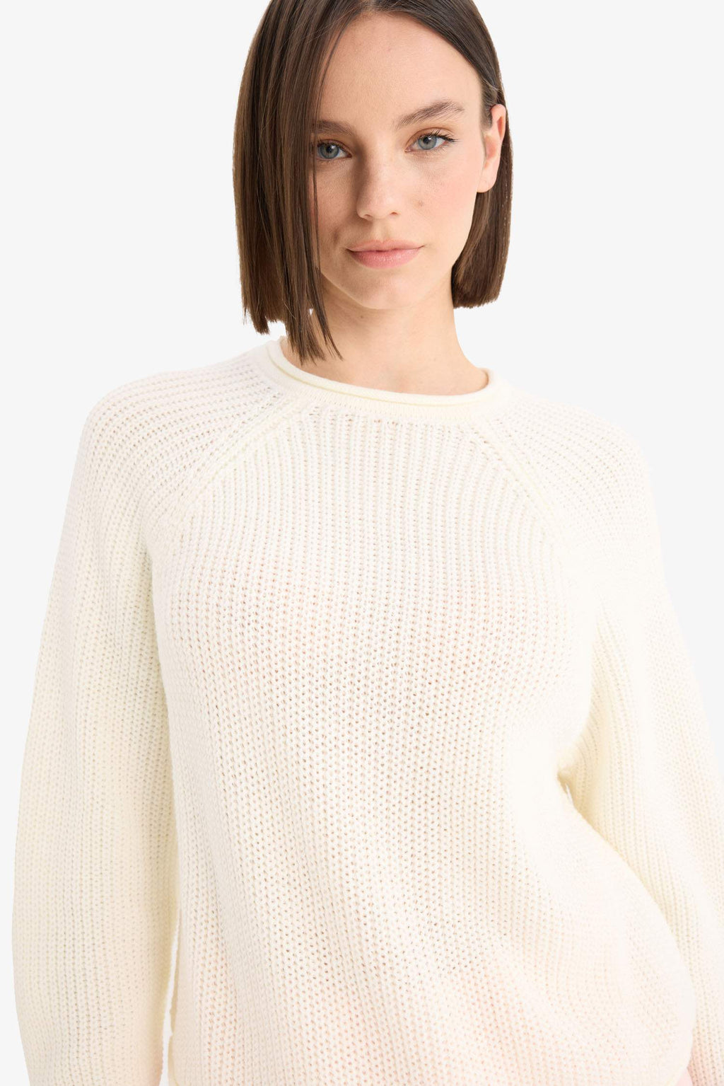Regular Fit Crew Neck Knitwear Sweater