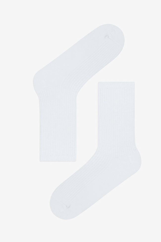 5 Pairs of Cotton Colorful Ribbed Ankle Socks Main Image