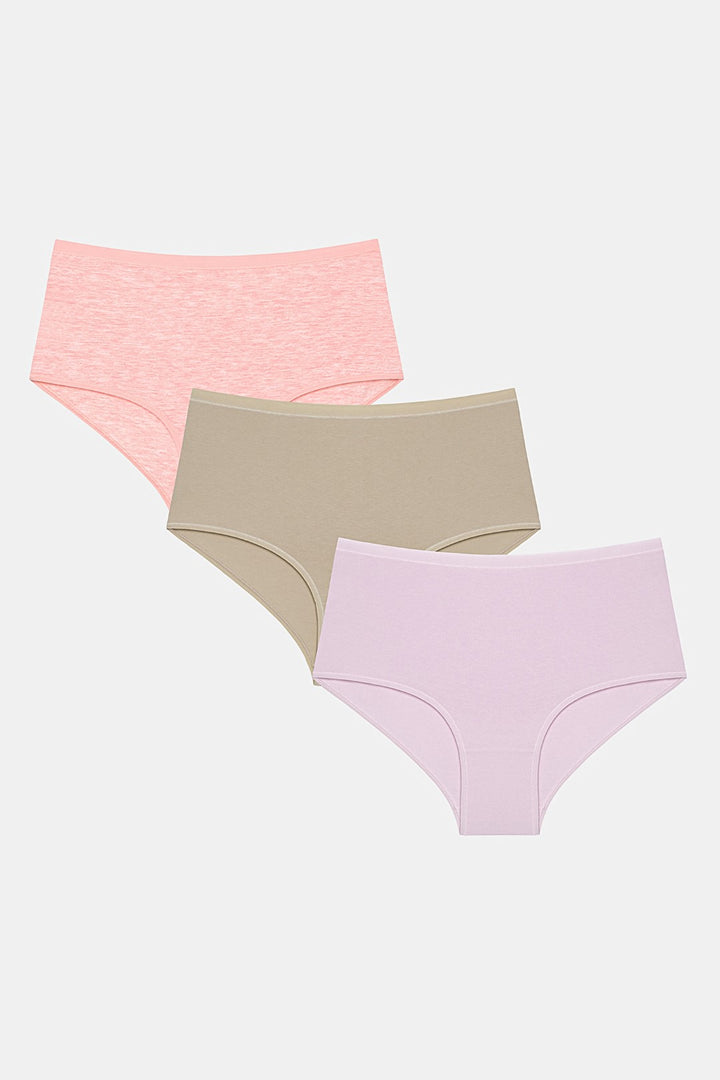 Natural Tones 3-Pack High Waist Multicolored Slip Panties