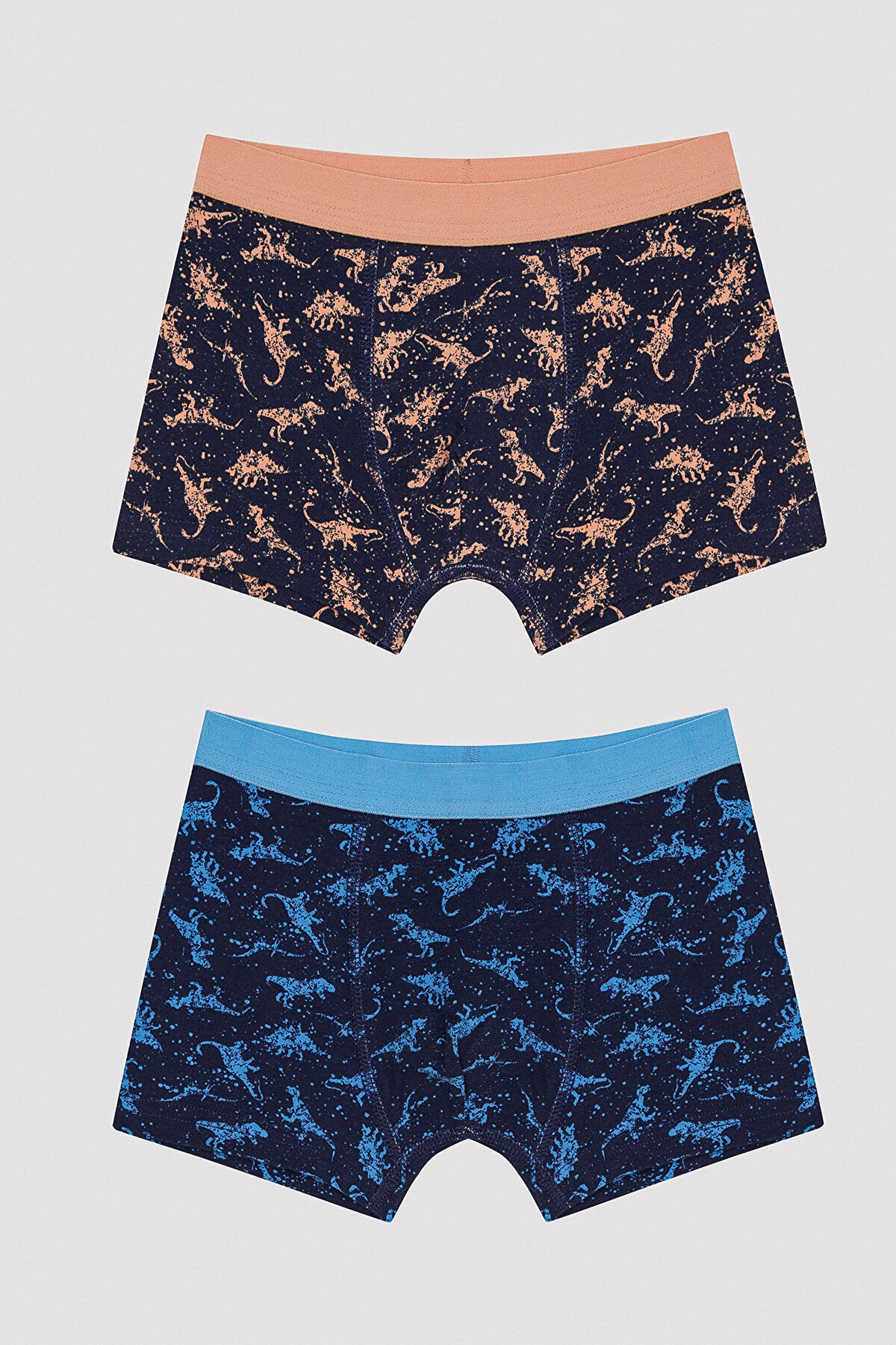 Boy Colorful Dino 2-pack Boxer