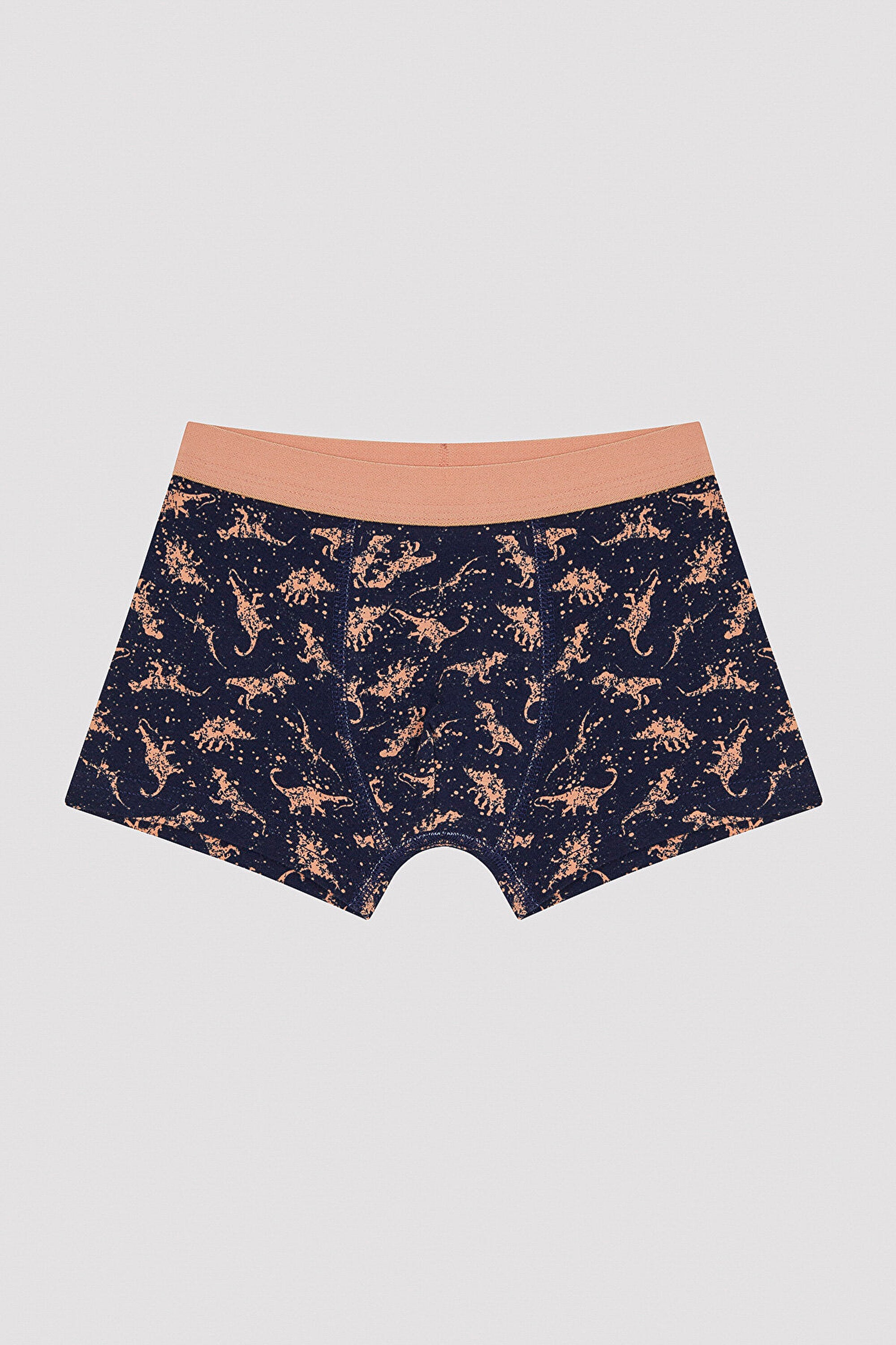 Boy Colorful Dino 2-pack Boxer