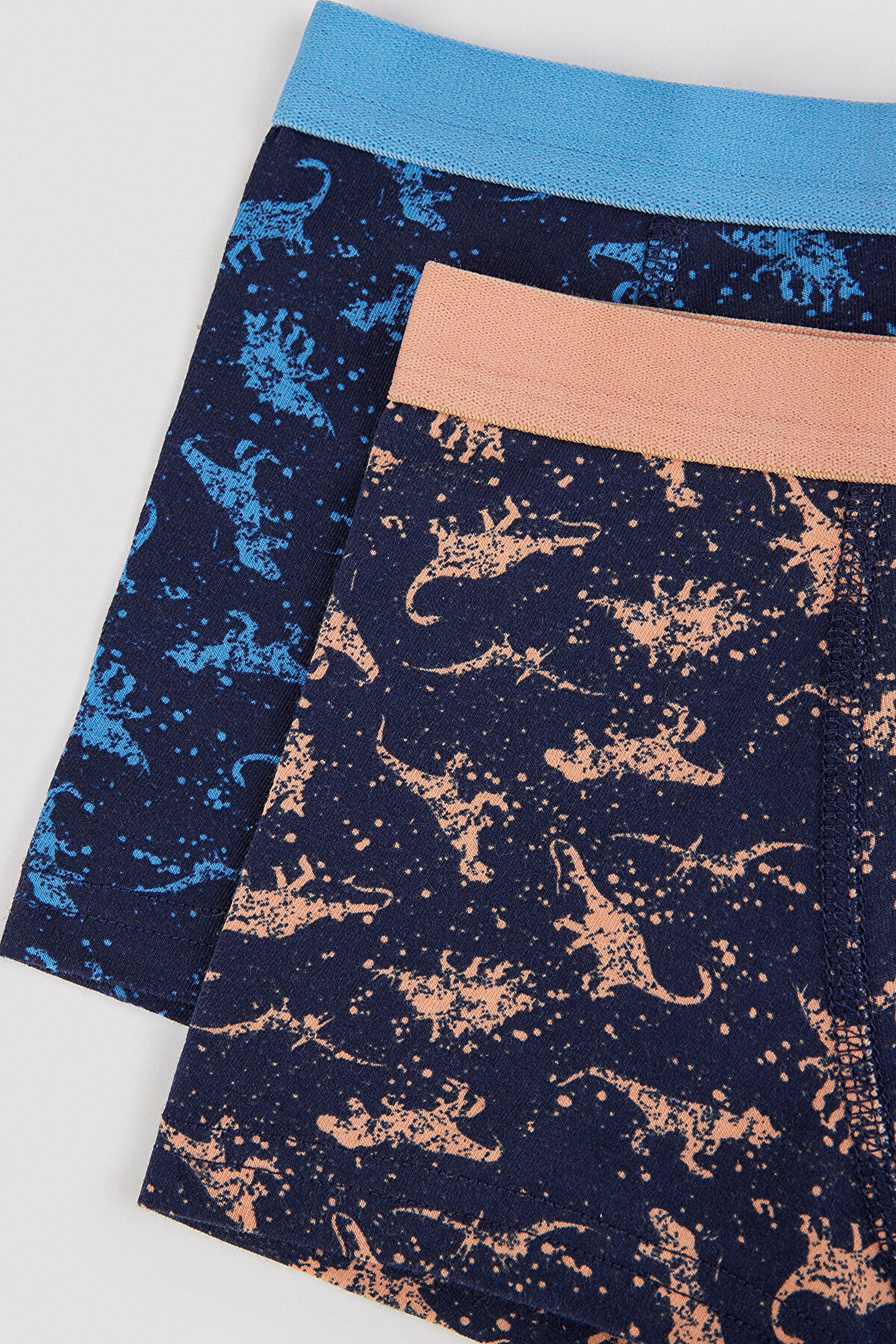Boy Colorful Dino 2-pack Boxer
