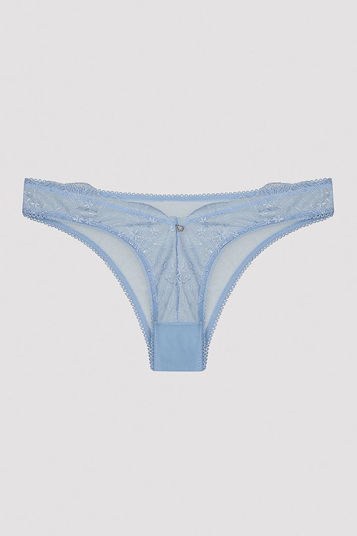 Shiny Lace V-Cut Brazilian Panties