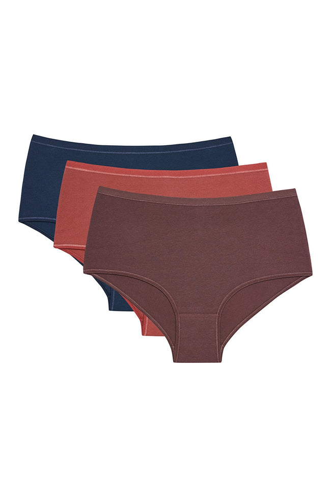 Mixed Color Terra 3-Pack High Waist Briefs Hover Image