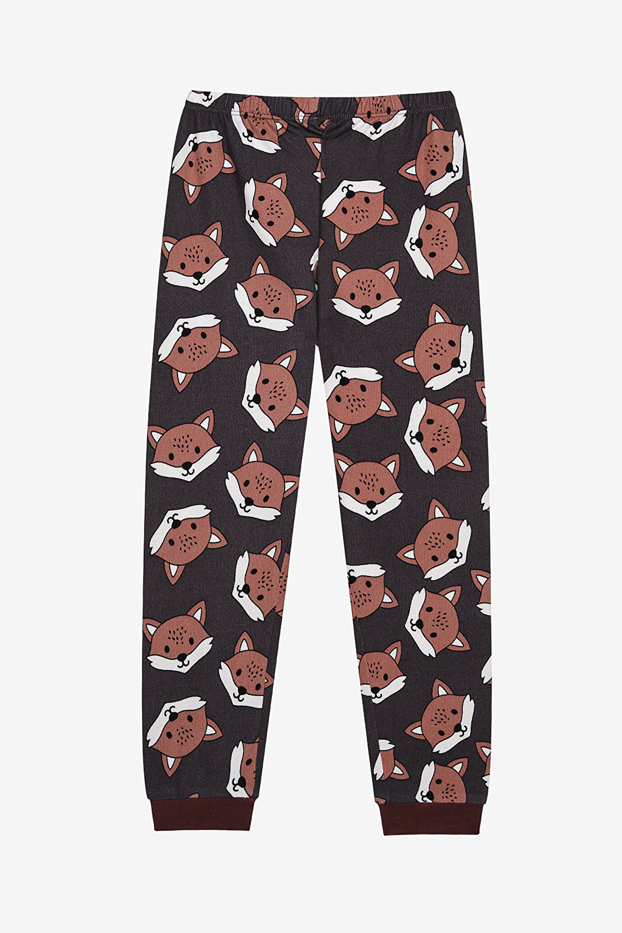 Boy Fun Fox Antique Green Thermal Pajama Set