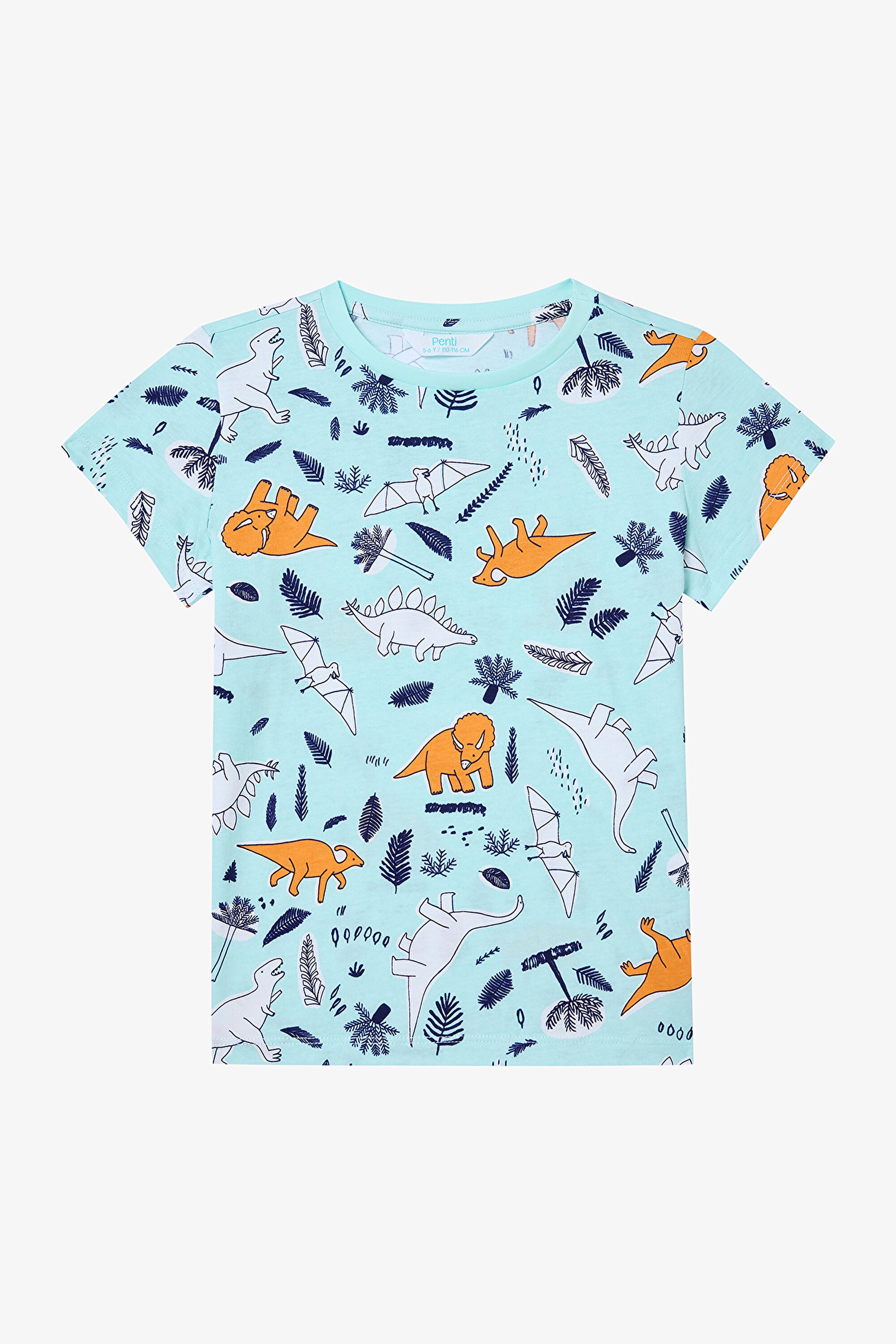 Boy Sleepysaurus 2-Piece Multicolored Pajama Set