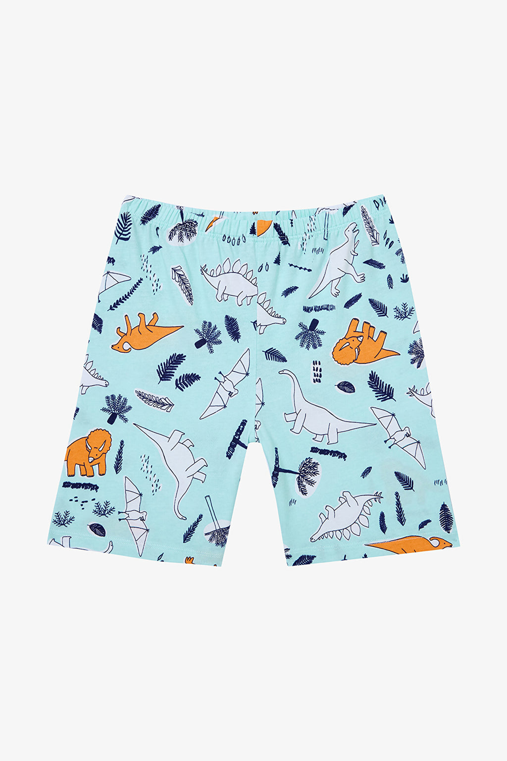 Boy Sleepysaurus 2-Piece Multicolored Pajama Set