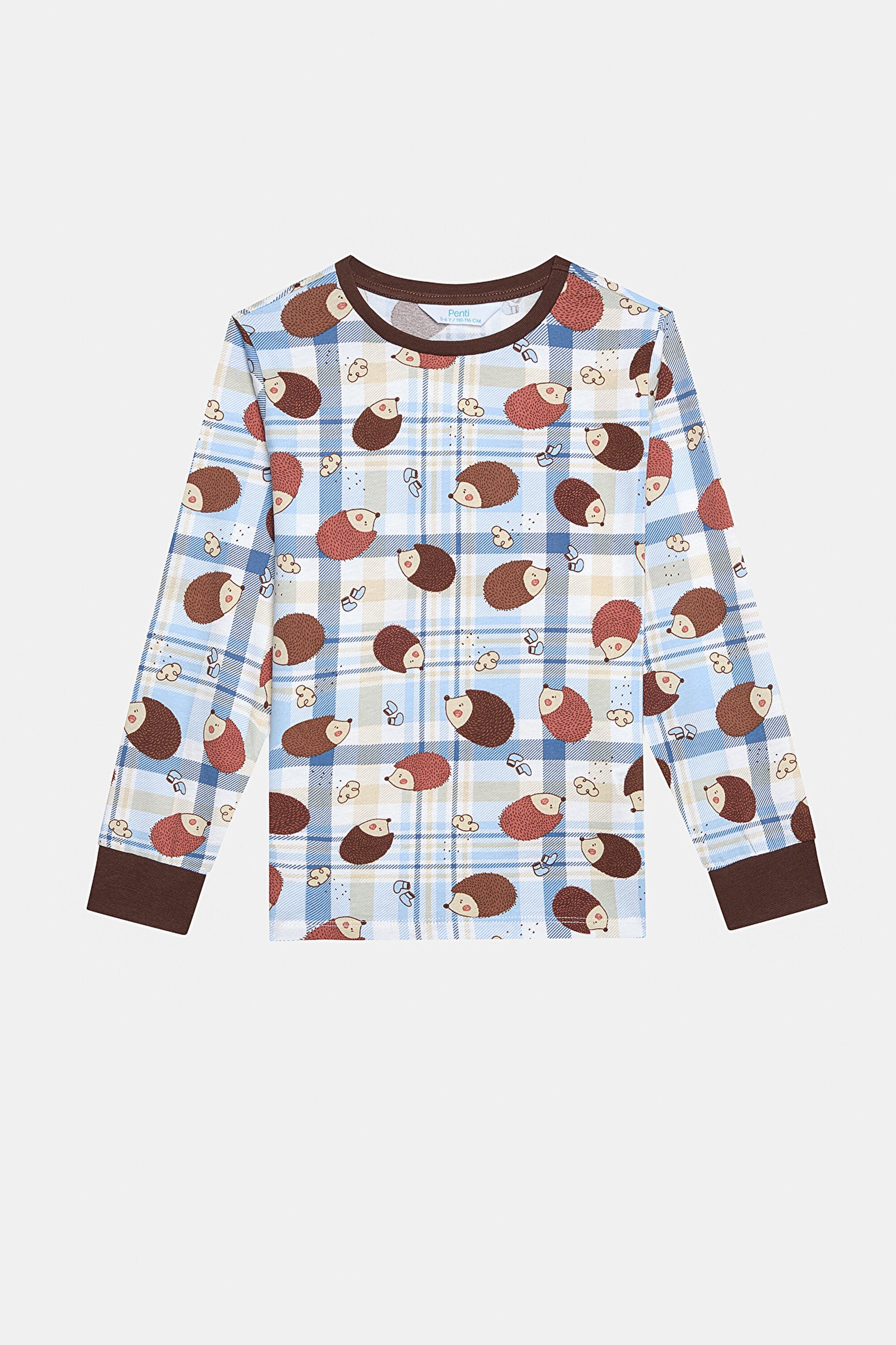 Cotton Boy Hedgedog 2-Piece Multicolored Pajama Set