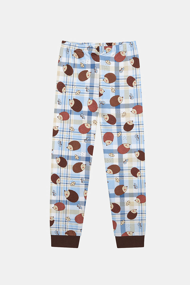 Cotton Boy Hedgedog 2-Piece Multicolored Pajama Set