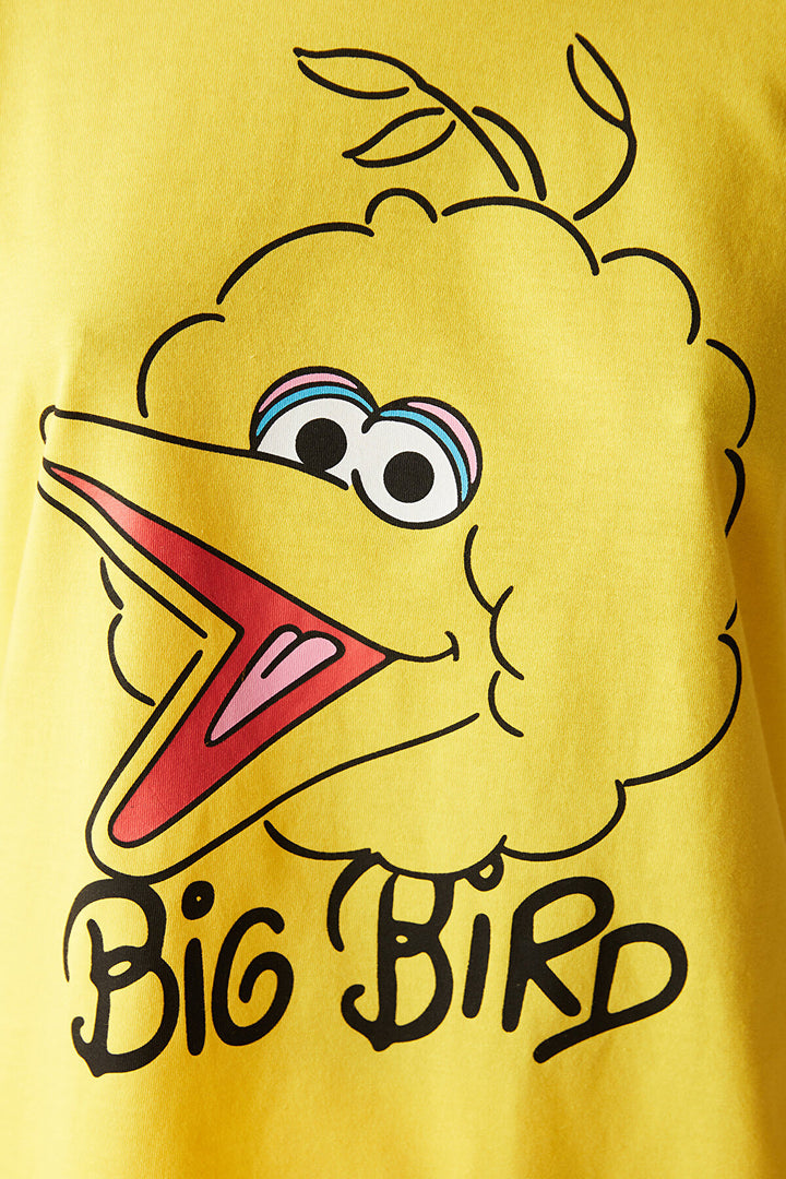 Big Bird Yellow PJ Set