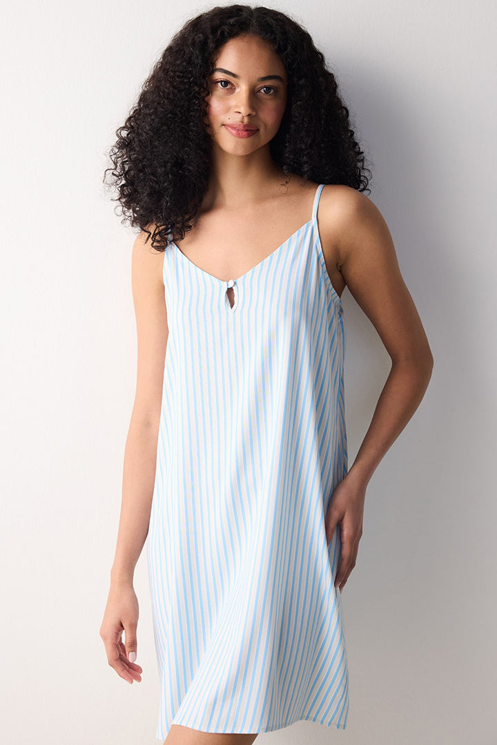 Alice Striped Blue Dress