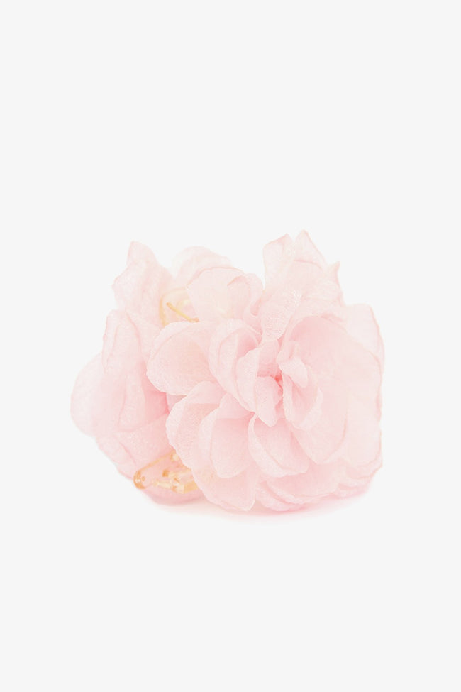 Asia Colored Buckle Main Image