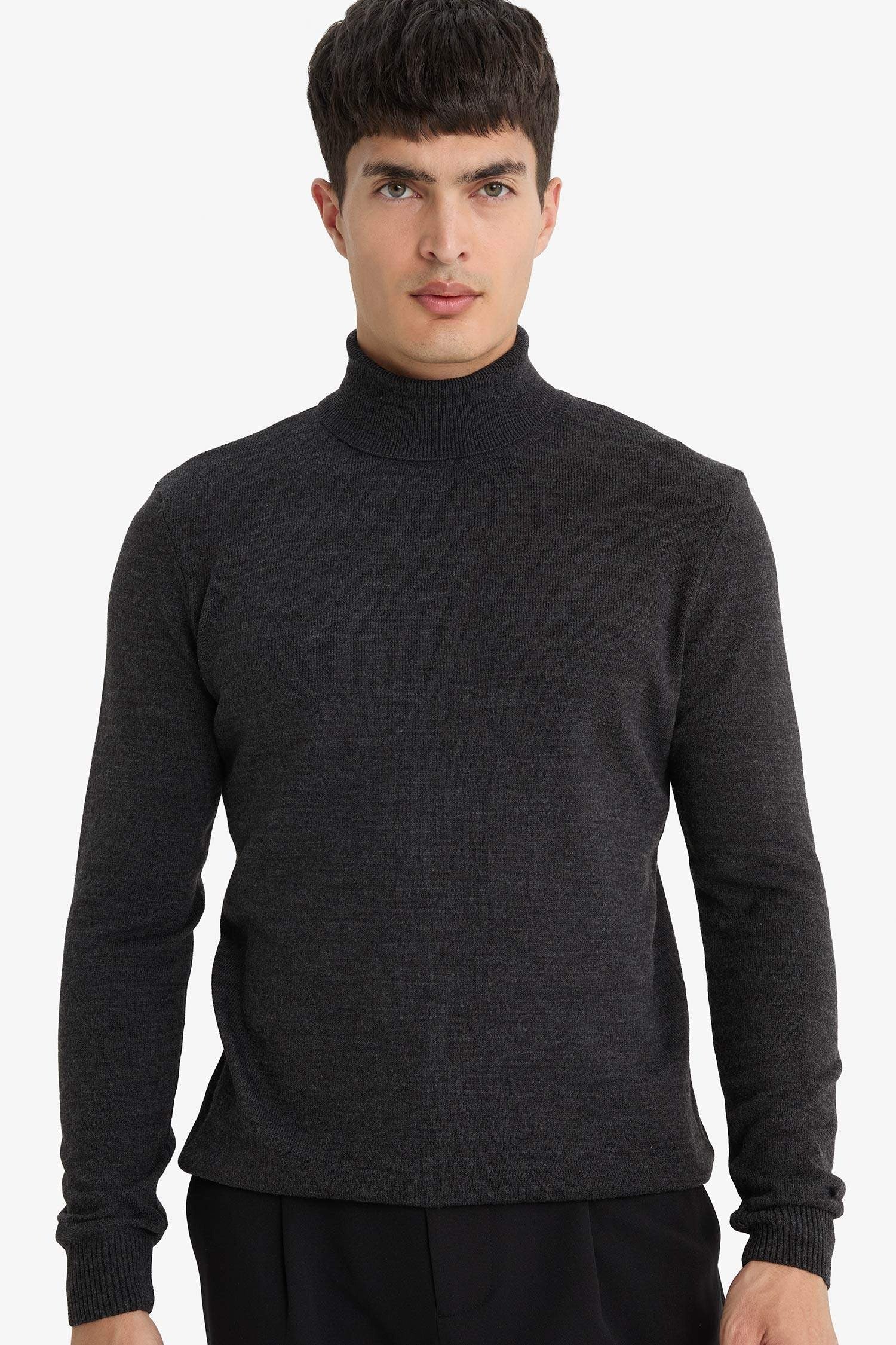 Slim Fit Slim Cut Turtleneck Basic Plain Knitwear Sweater