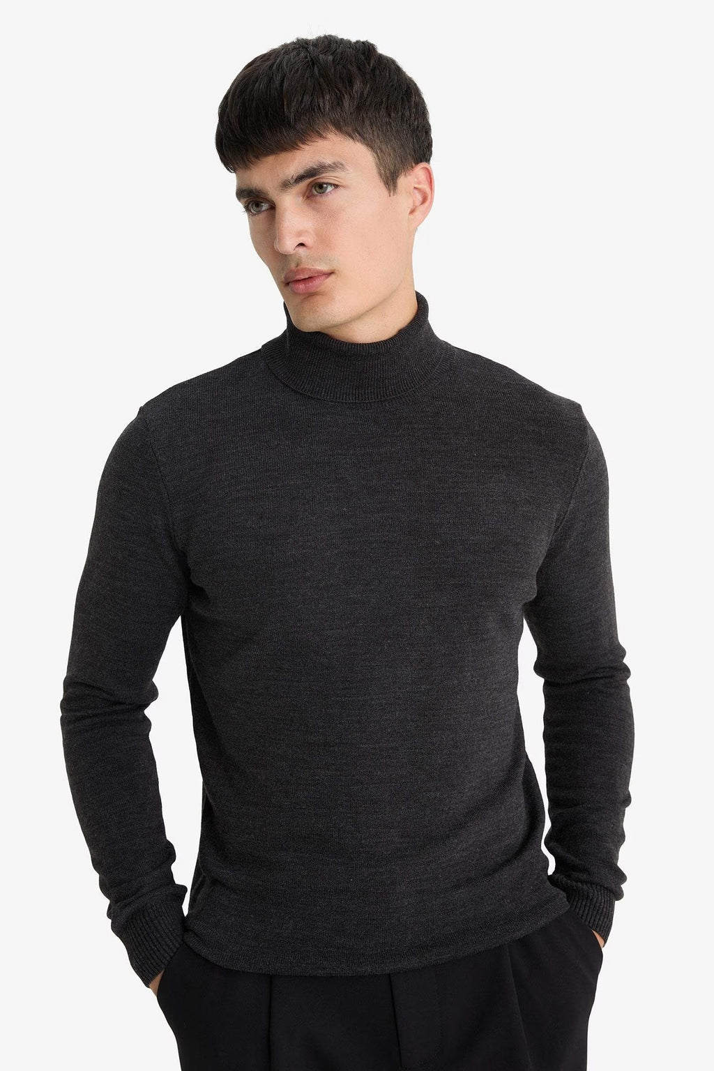 Slim Fit Slim Cut Turtleneck Basic Plain Knitwear Sweater