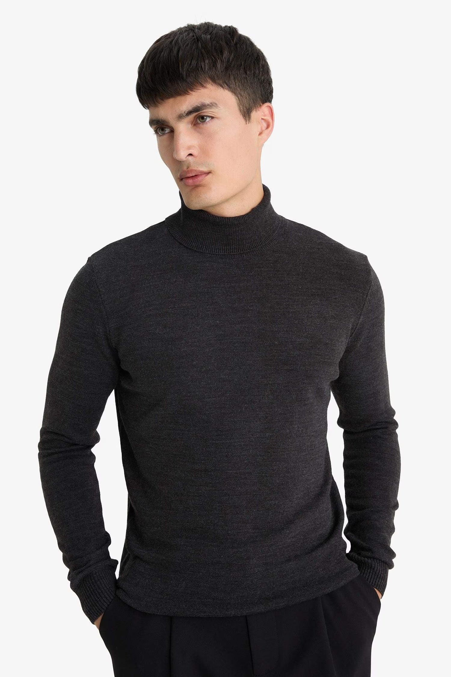 Slim Fit Slim Cut Turtleneck Basic Plain Knitwear Sweater