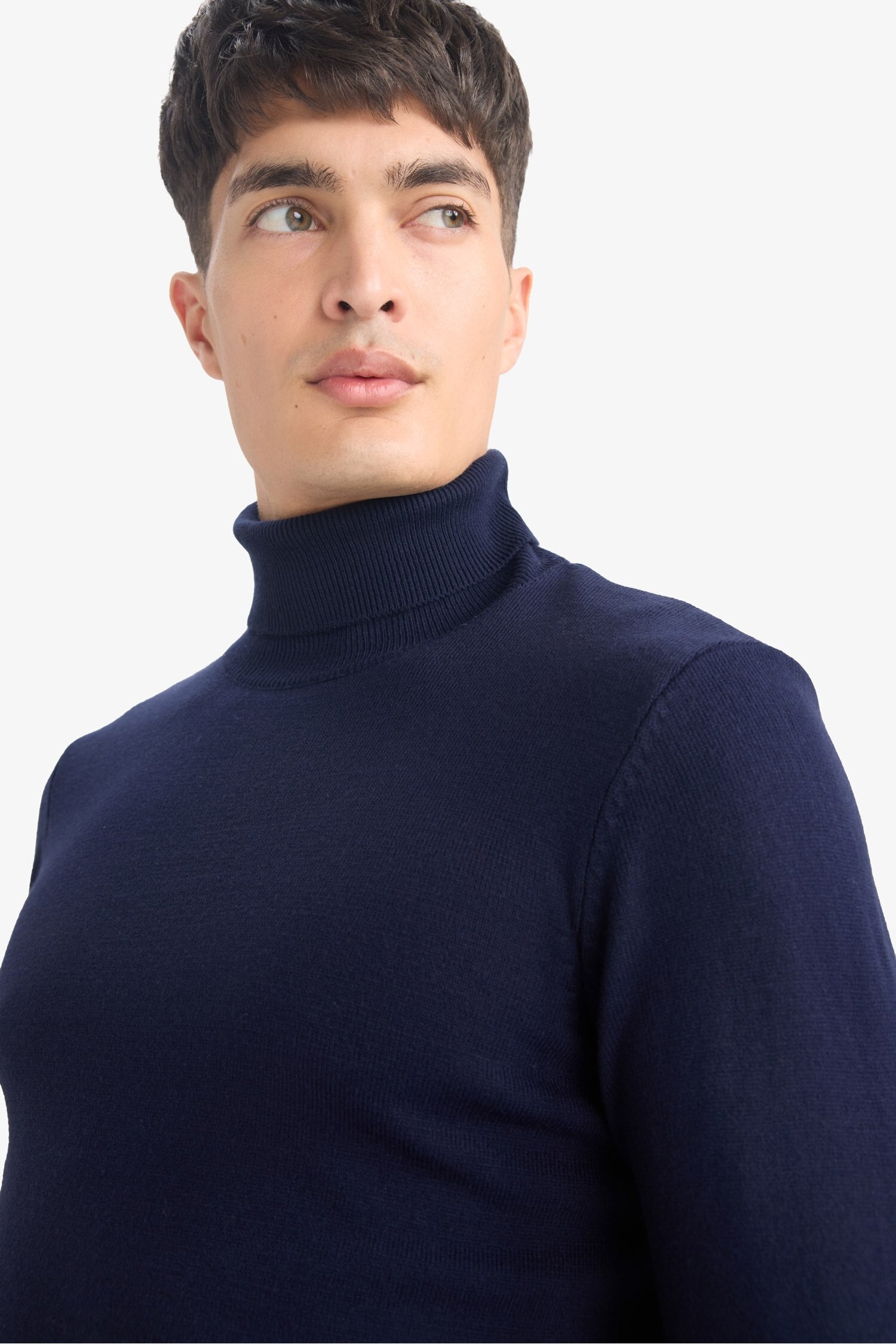 Slim Fit Slim Cut Turtleneck Basic Plain Knitwear Sweater