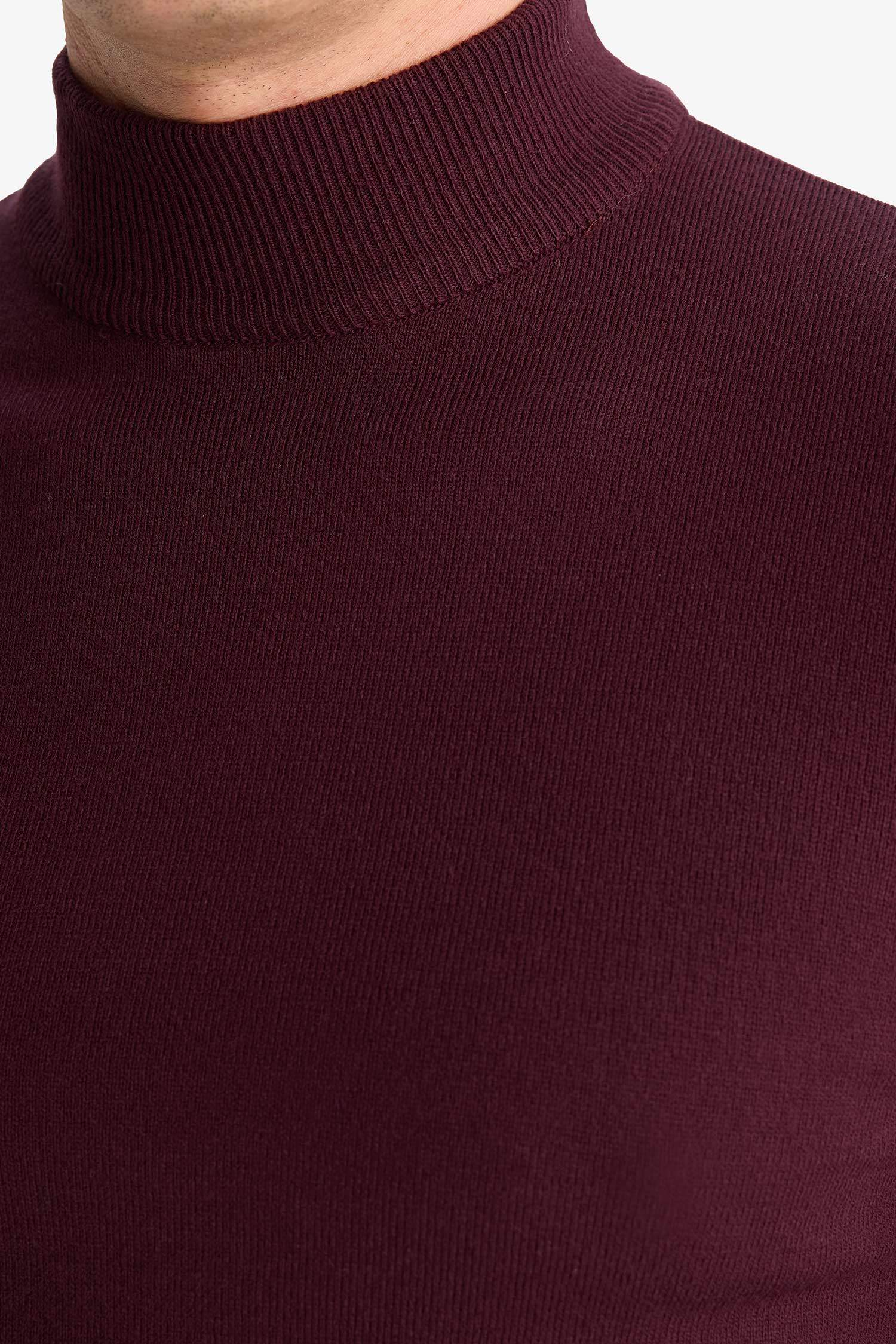 Slim Fit Slim Cut Turtleneck Basic Plain Knitwear Sweater