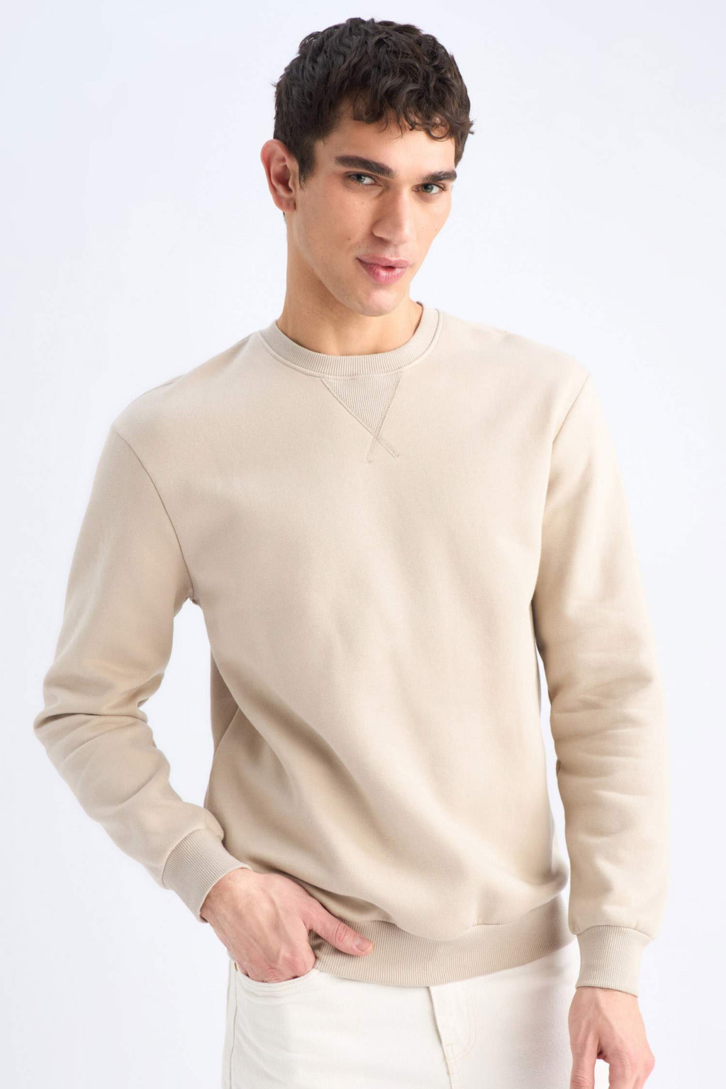 Regular Fit Crew Neck Thick Basic Plain Sweatshirt