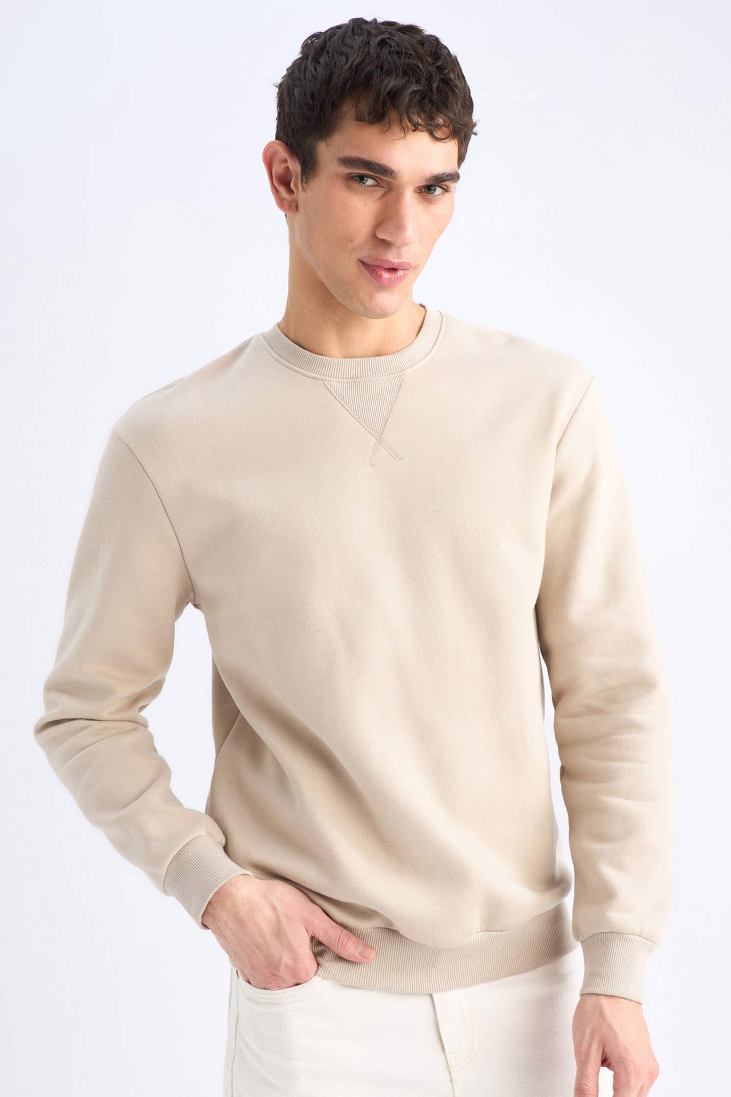 Regular Fit Crew Neck Thick Basic Plain Sweatshirt