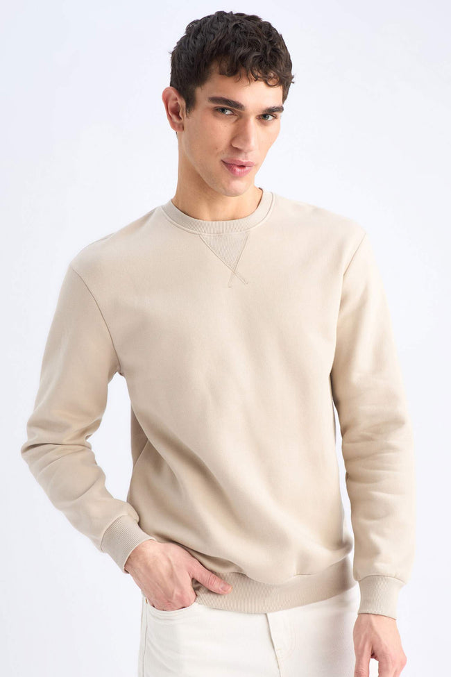 Regular Fit Crew Neck Thick Basic Plain Sweatshirt Hover Image