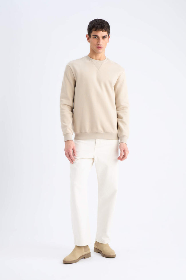 Regular Fit Crew Neck Thick Basic Plain Sweatshirt Main Image