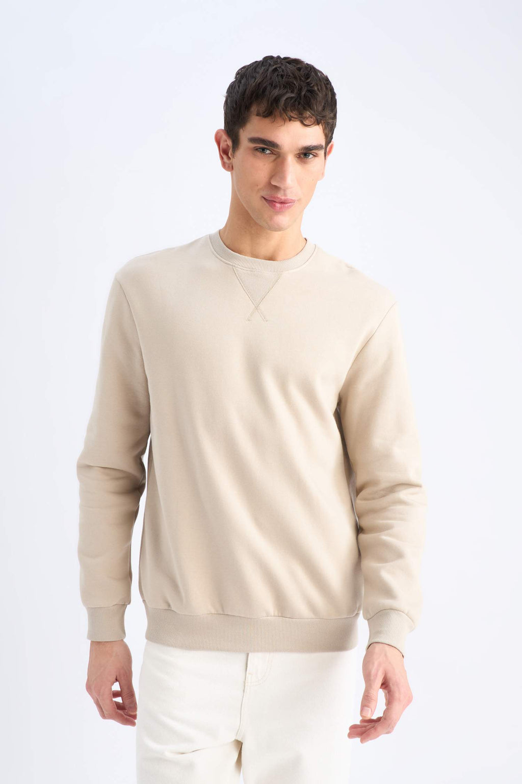 Regular Fit Crew Neck Thick Basic Plain Sweatshirt