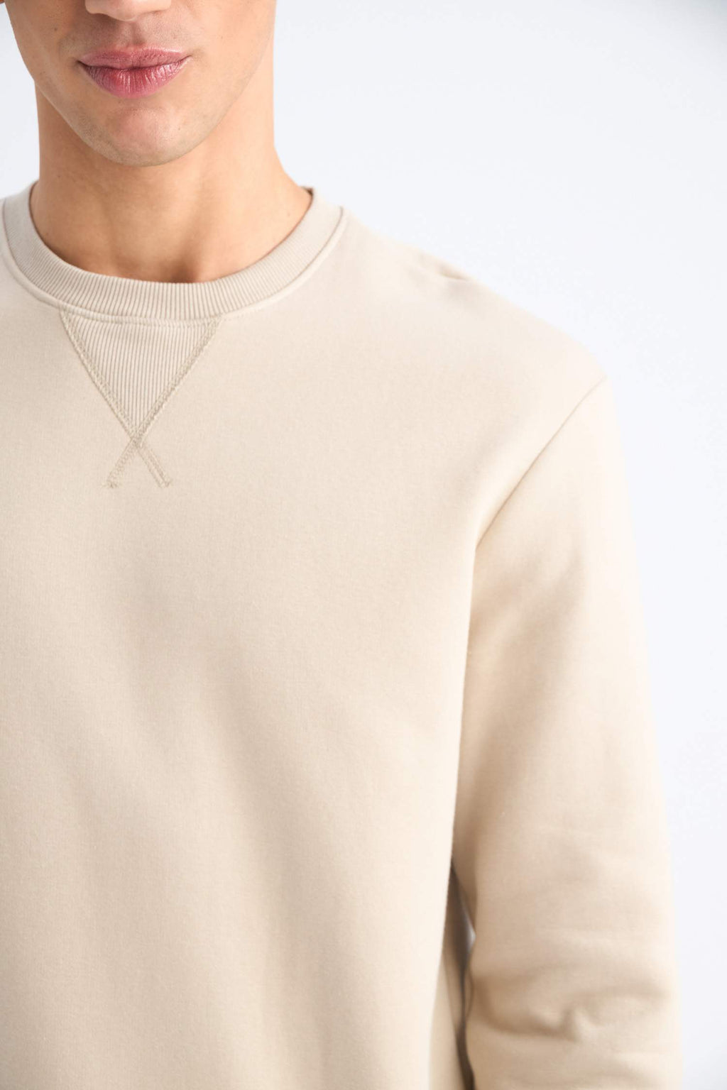 Regular Fit Crew Neck Thick Basic Plain Sweatshirt