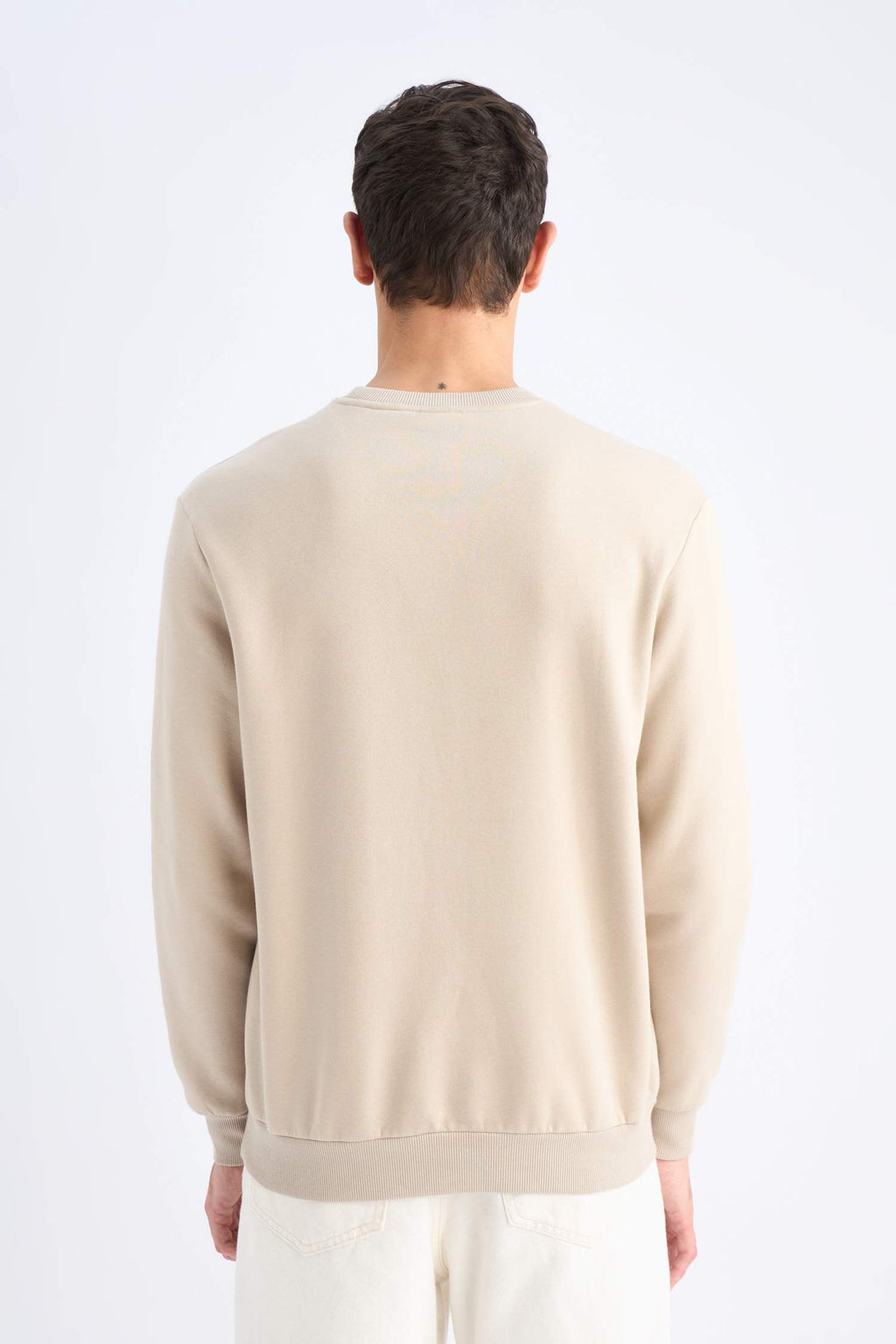 Regular Fit Crew Neck Thick Basic Plain Sweatshirt