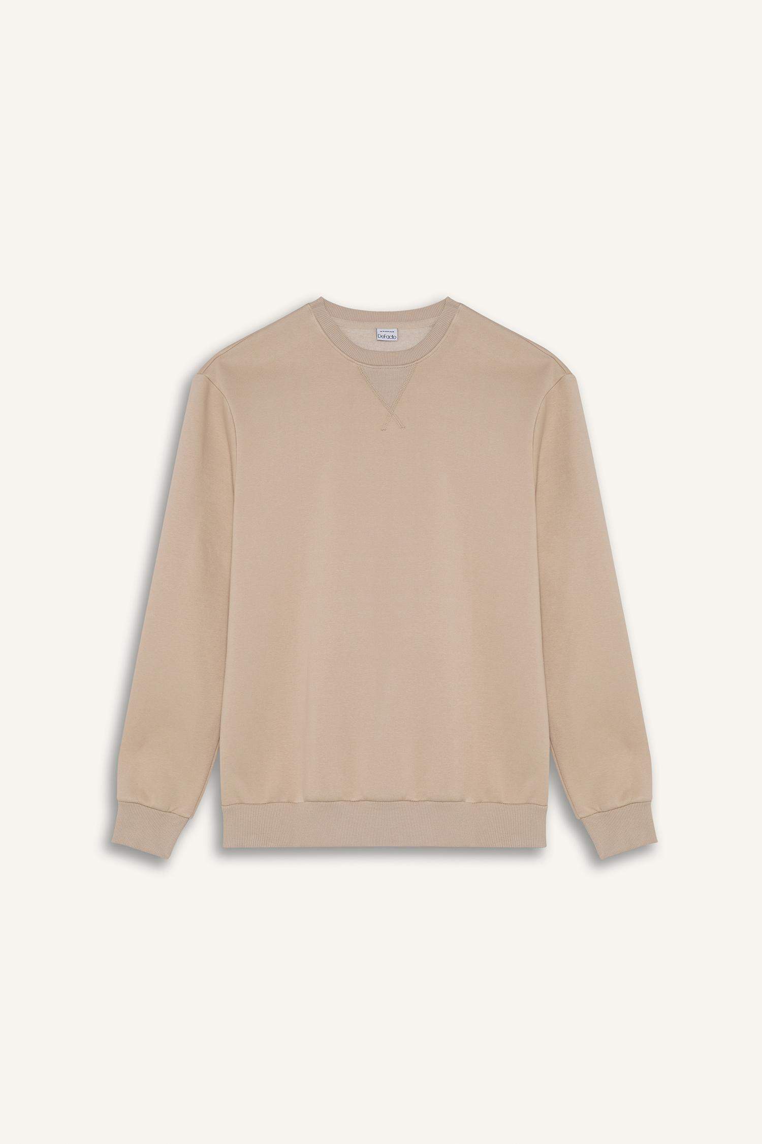 Regular Fit Crew Neck Thick Basic Plain Sweatshirt