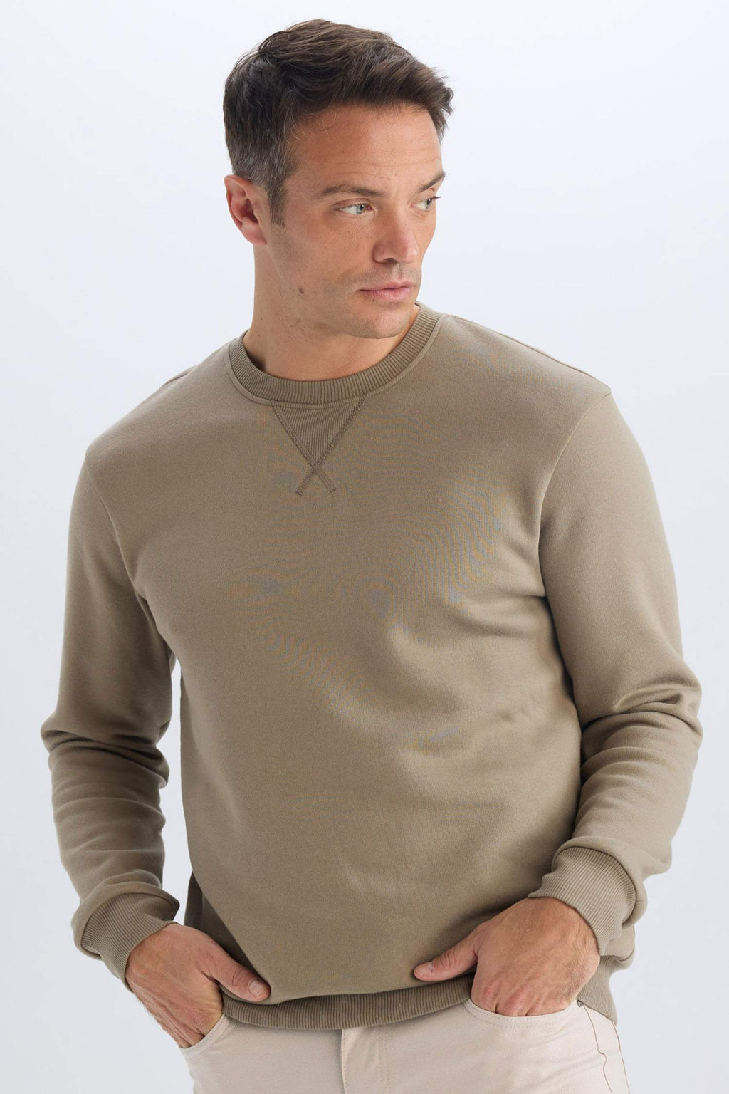 Regular Fit Crew Neck Thick Basic Plain Sweatshirt