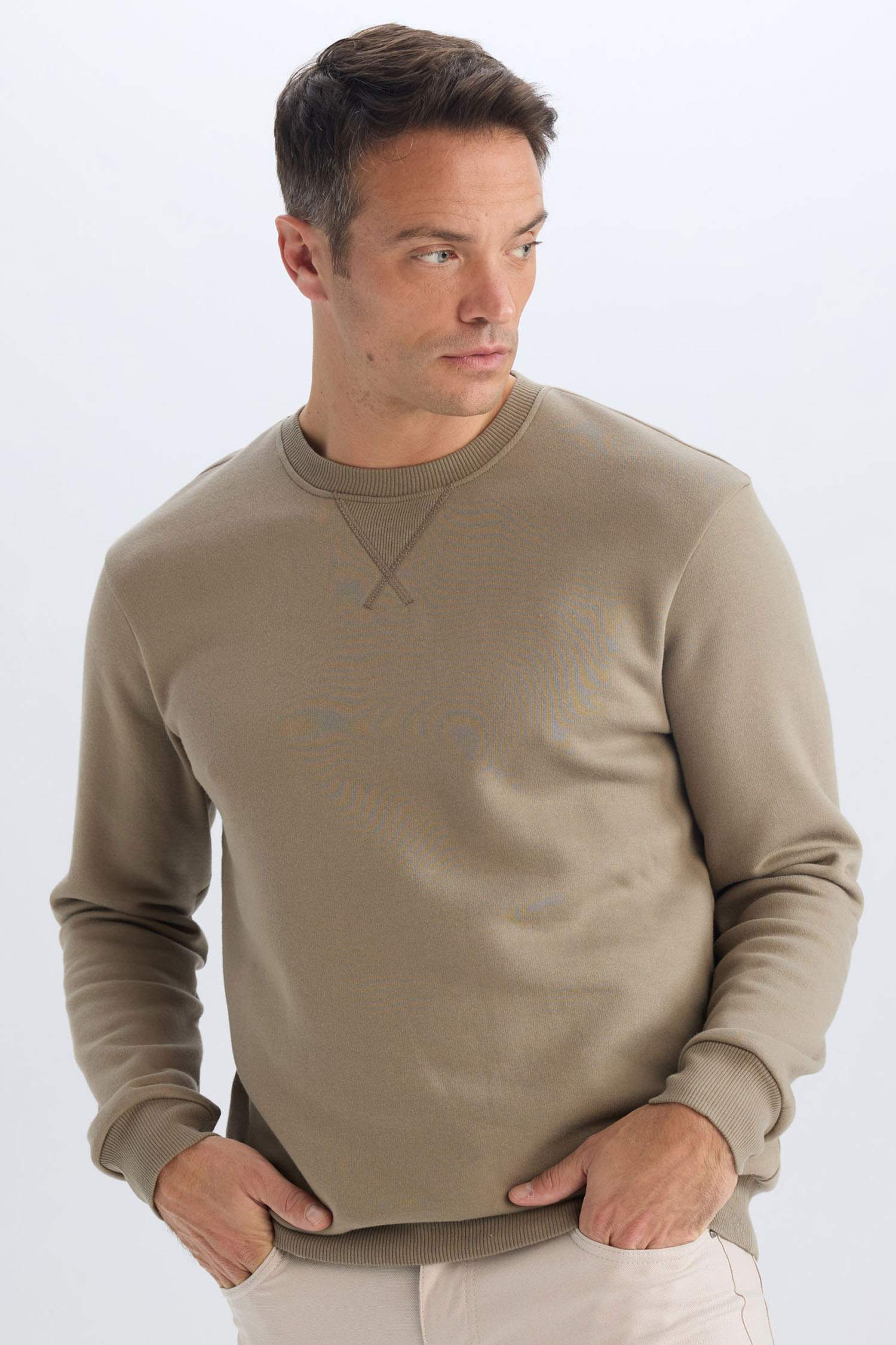 Regular Fit Crew Neck Thick Basic Plain Sweatshirt