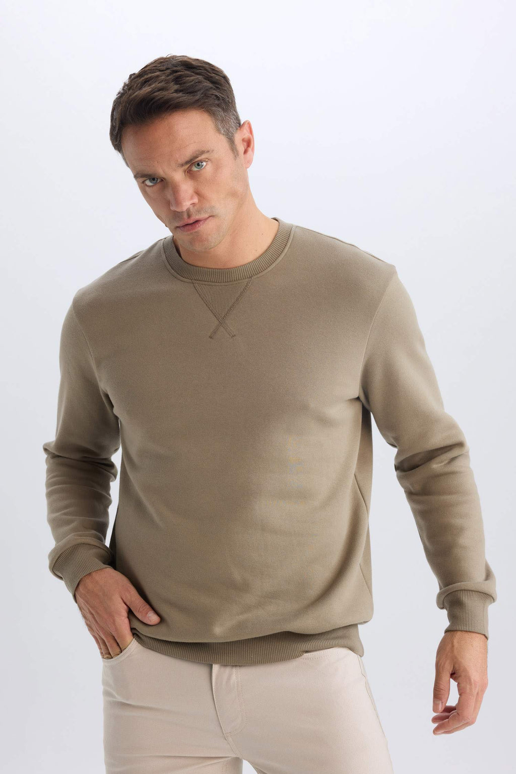 Regular Fit Crew Neck Thick Basic Plain Sweatshirt