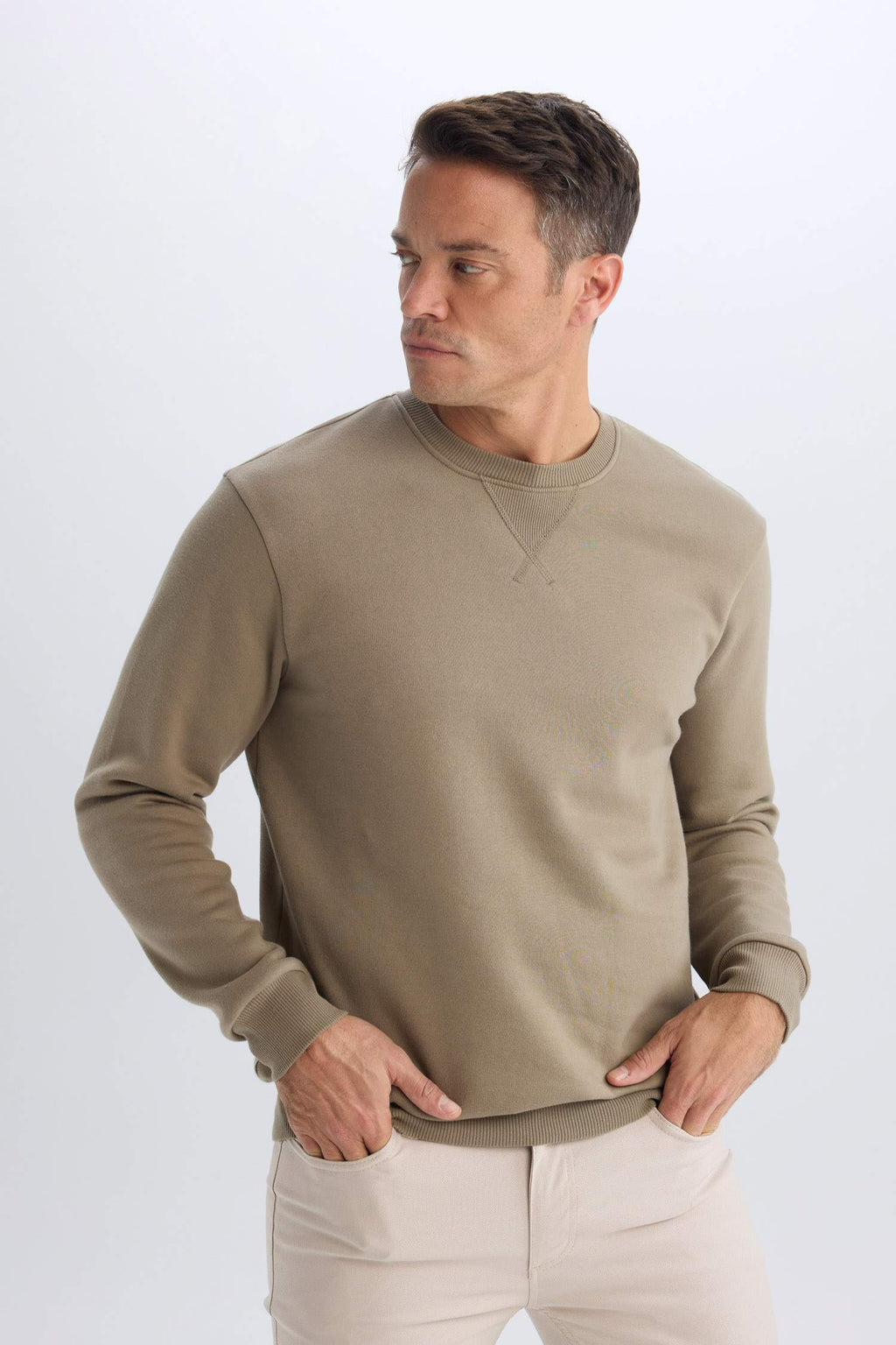 Regular Fit Crew Neck Thick Basic Plain Sweatshirt