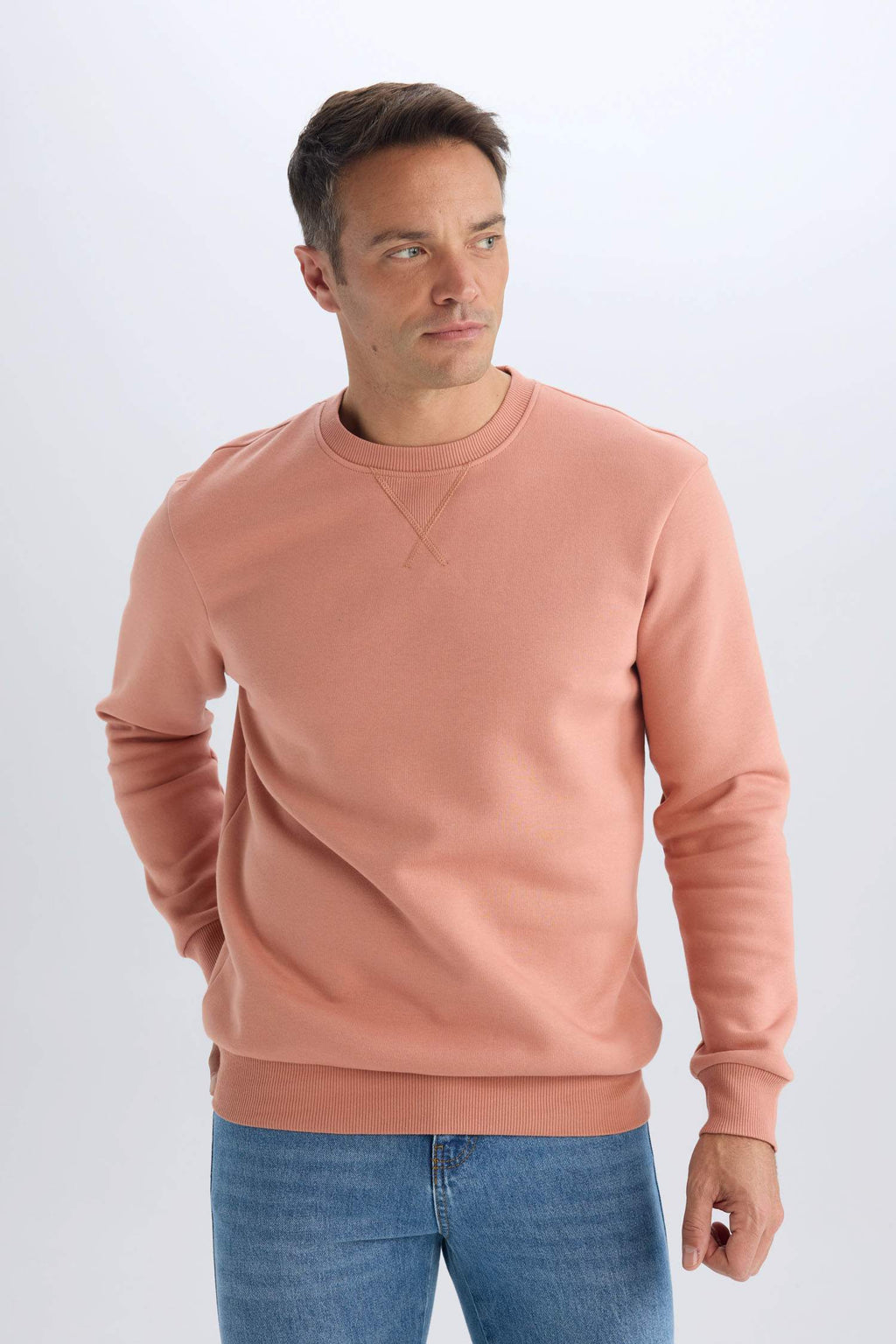 Regular Fit Crew Neck Thick Basic Plain Sweatshirt