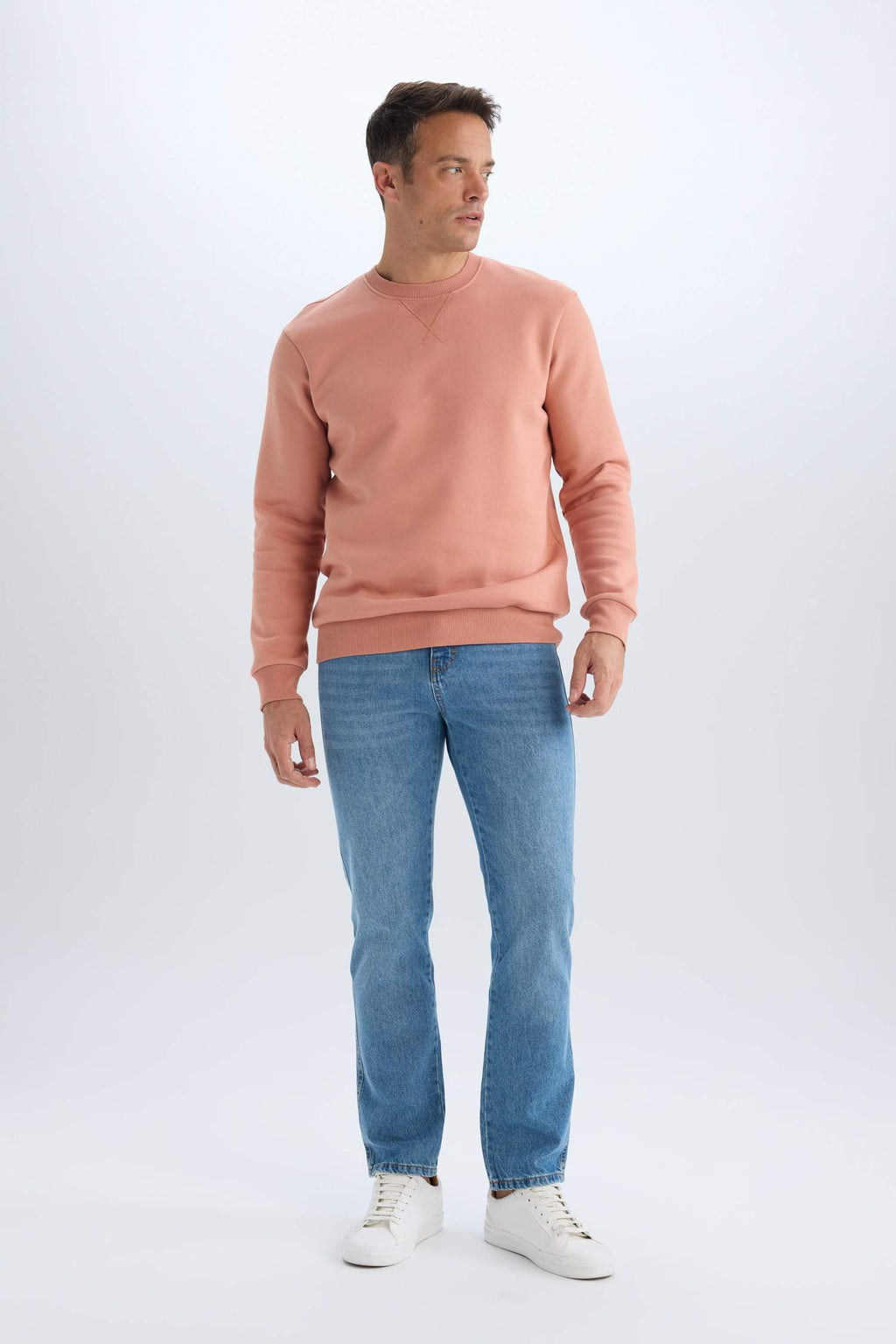 Regular Fit Crew Neck Thick Basic Plain Sweatshirt