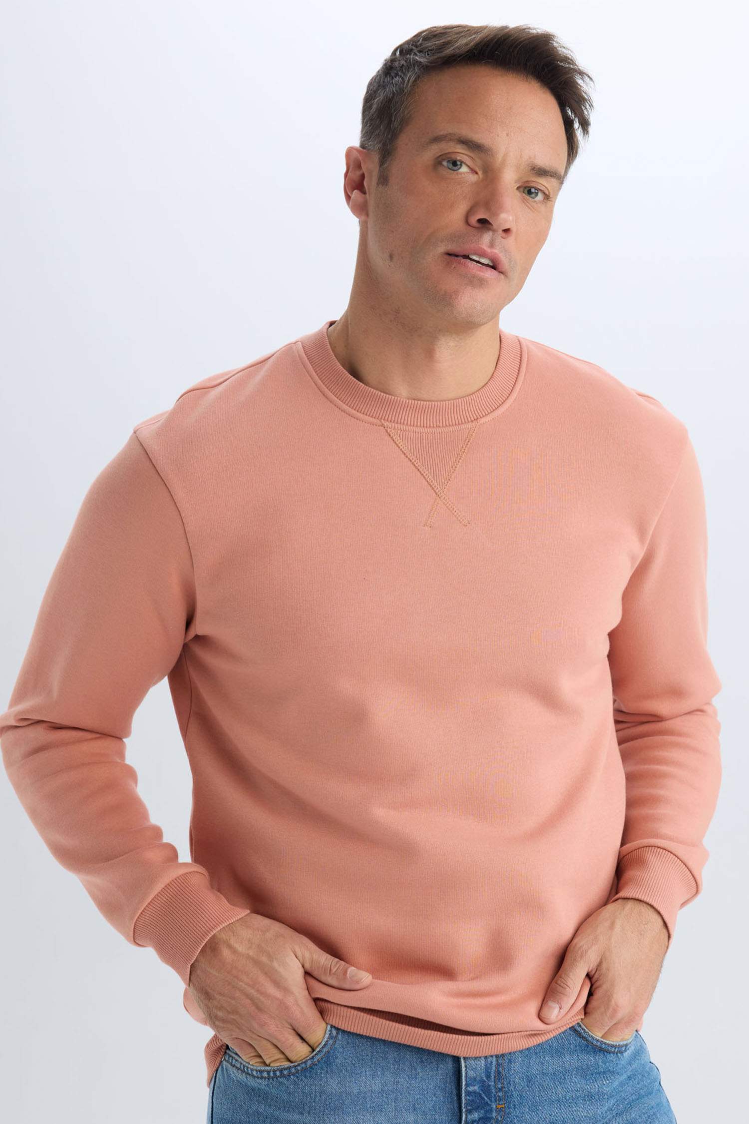 Regular Fit Crew Neck Thick Basic Plain Sweatshirt