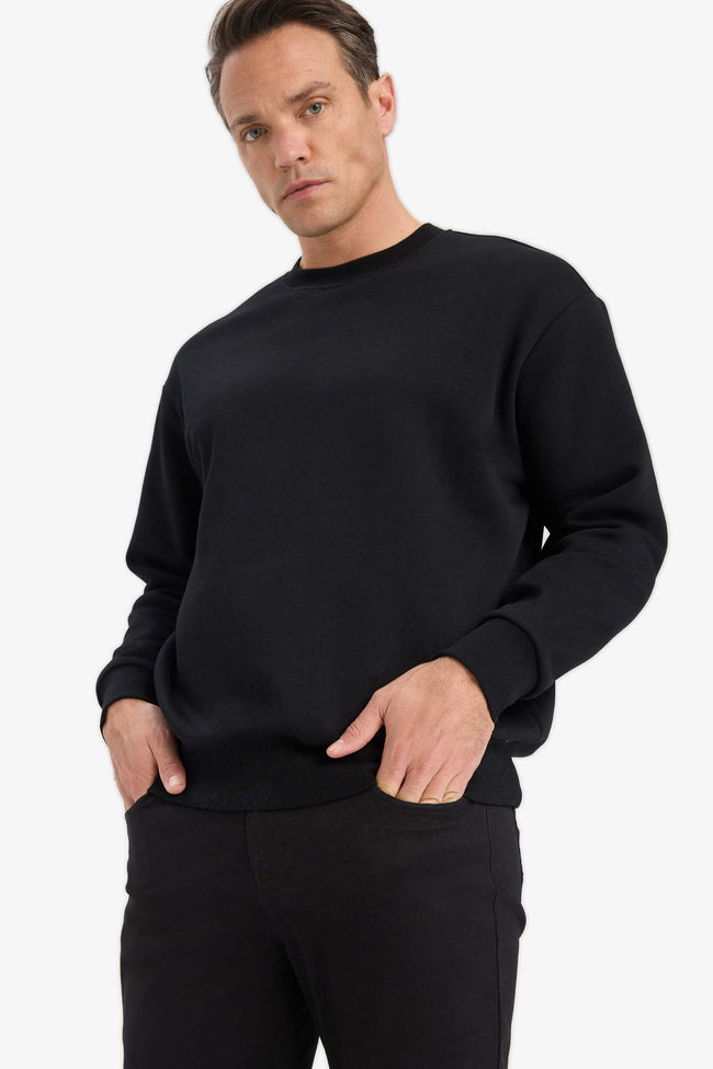 Relax Fit Crew Neck Thick Soft Lined Basic Plain Sweatshirt Hover Image