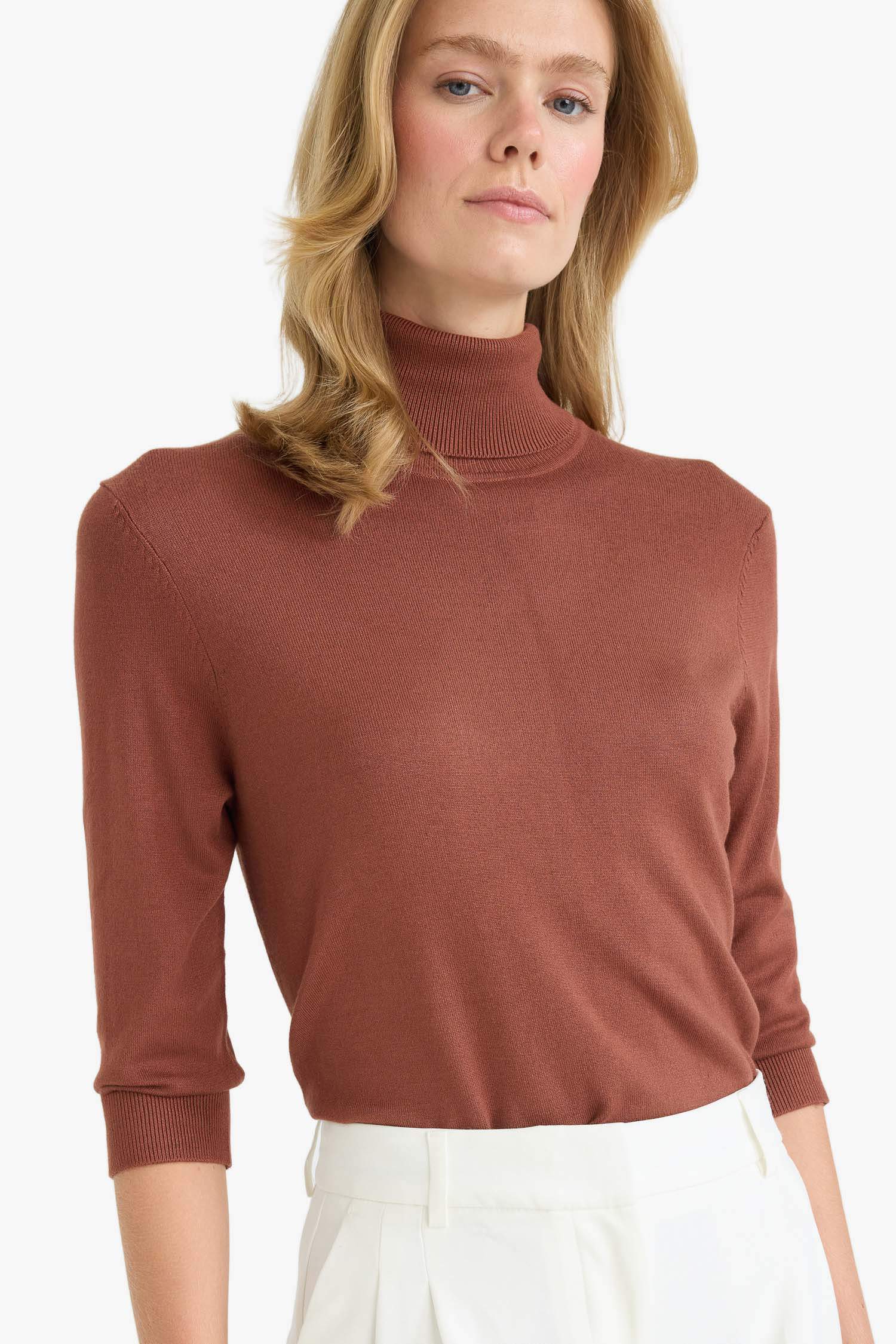 Regular Fit Turtleneck Half Sleeve Basic Plain Knitwear Sweater
