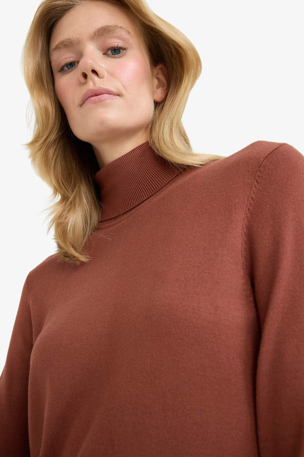 Regular Fit Turtleneck Half Sleeve Basic Plain Knitwear Sweater
