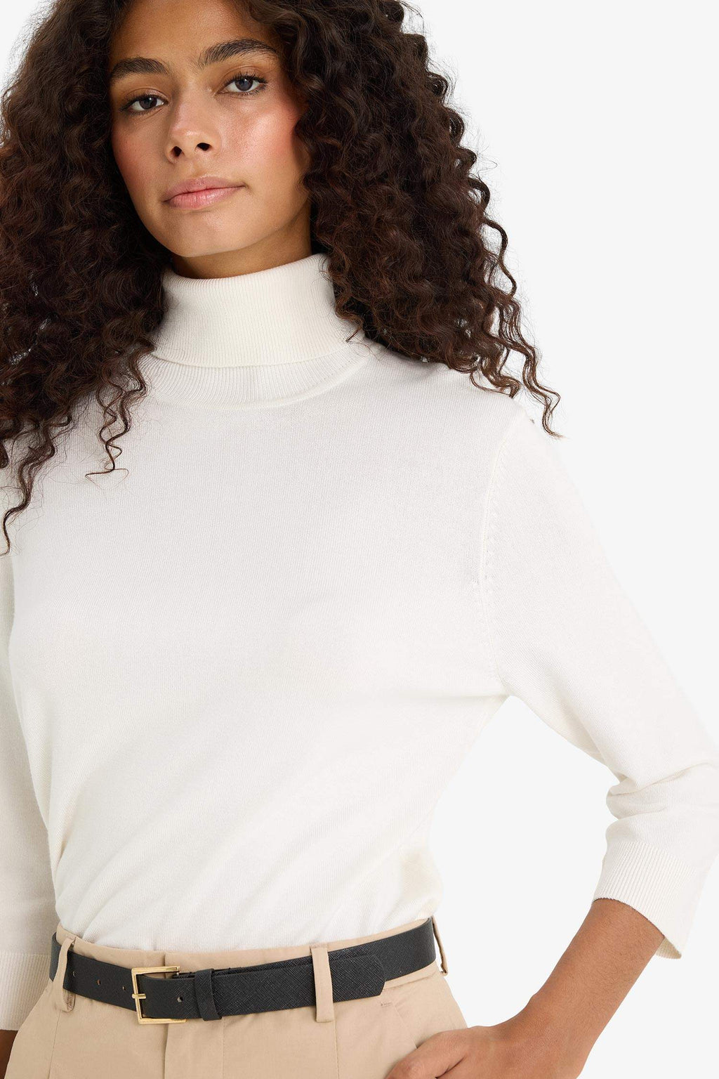 Regular Fit Turtleneck Half Sleeve Basic Plain Knitwear Sweater