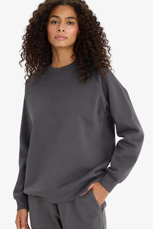 Oversized, loose fit, crew neck, basic, simple thick sweatshirt Hover Image