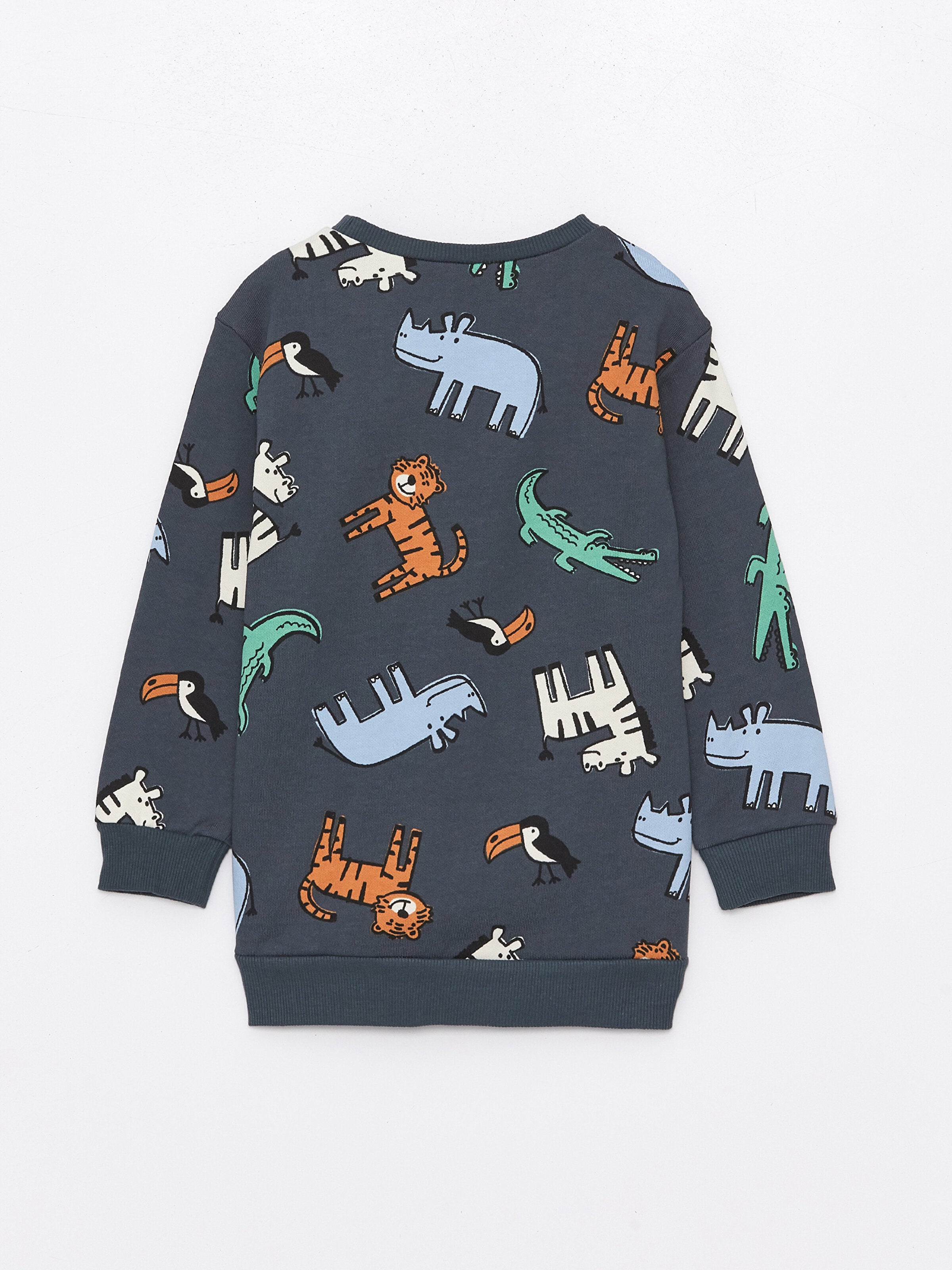 Crew Neck Long Sleeve Printed Baby Boy Sweatshirt