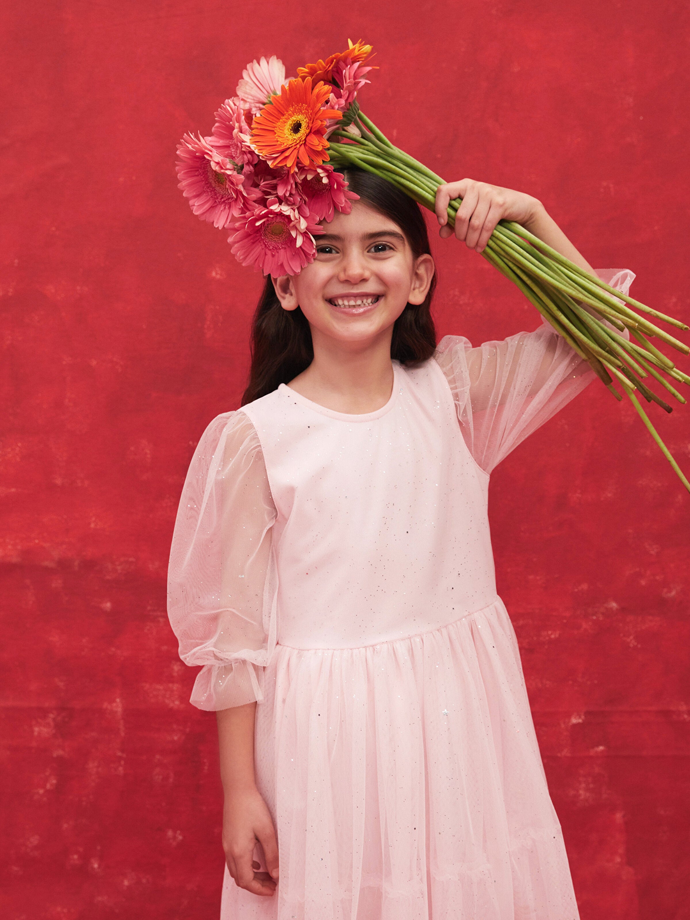 Crew Neck Long Sleeve Girls Tulle Dress