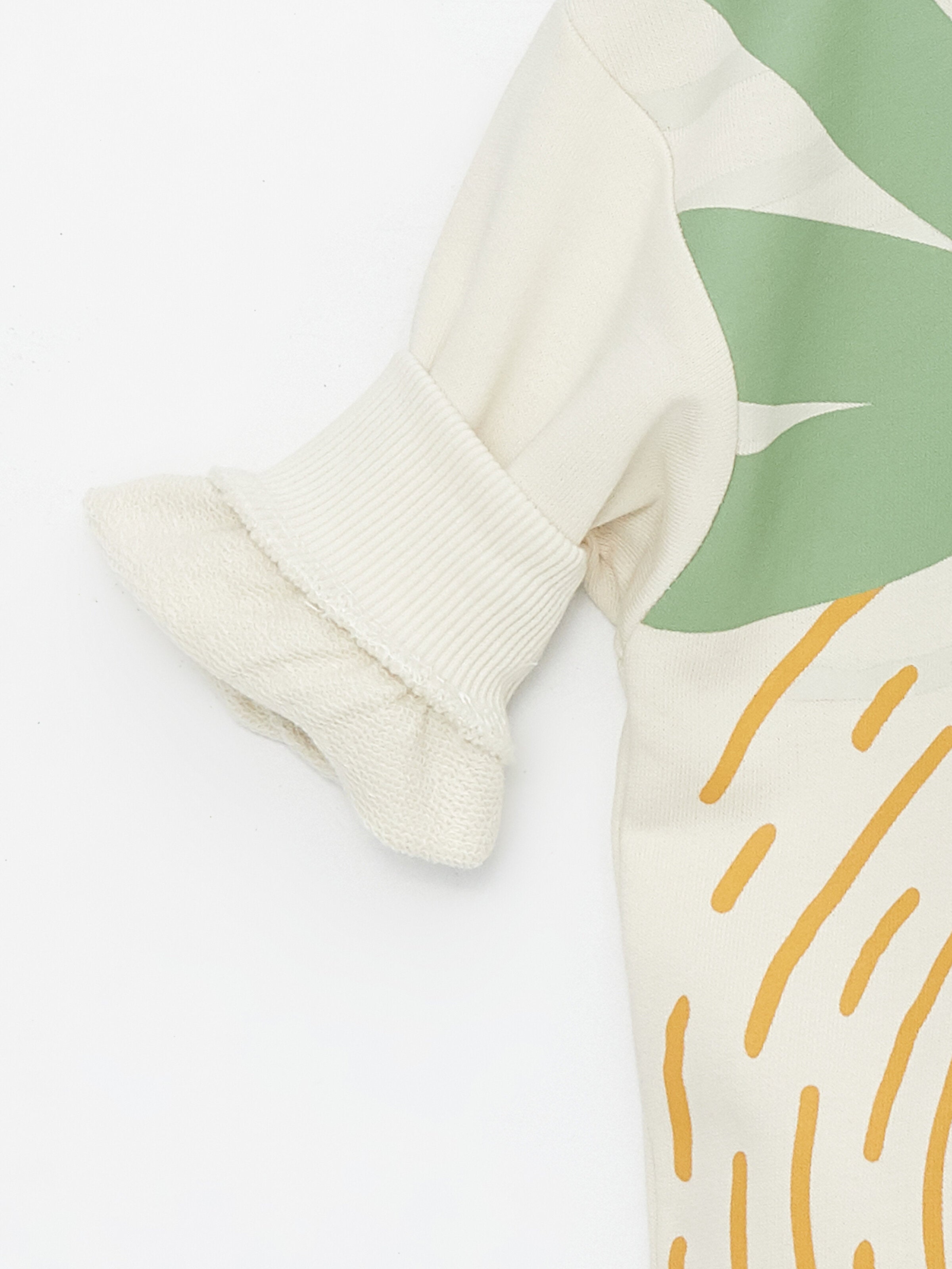 Crew Neck Long Sleeve Printed Baby Boy Sweatshirt