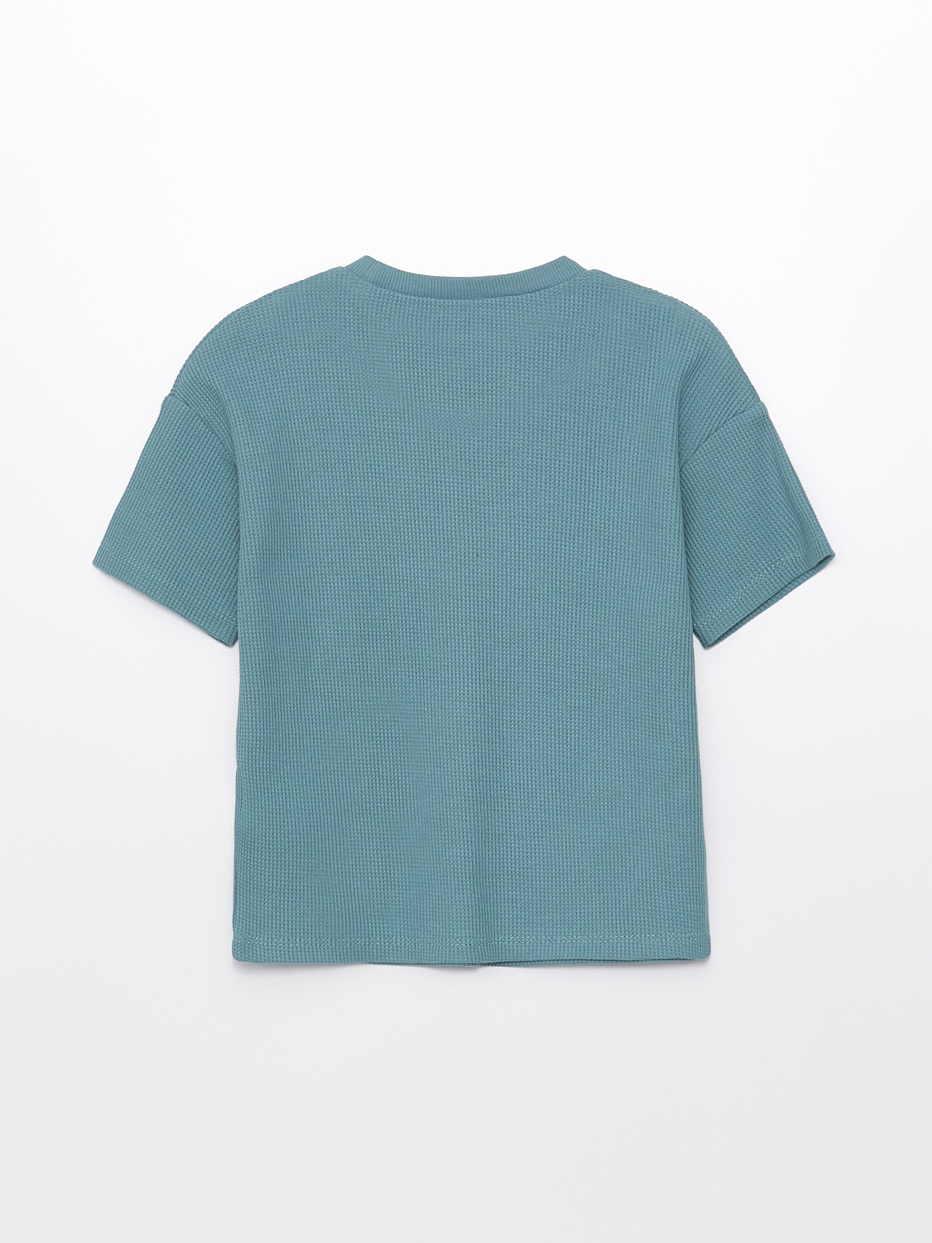 Crew Neck Basic Baby Boy T-Shirt and Shorts Set of 2