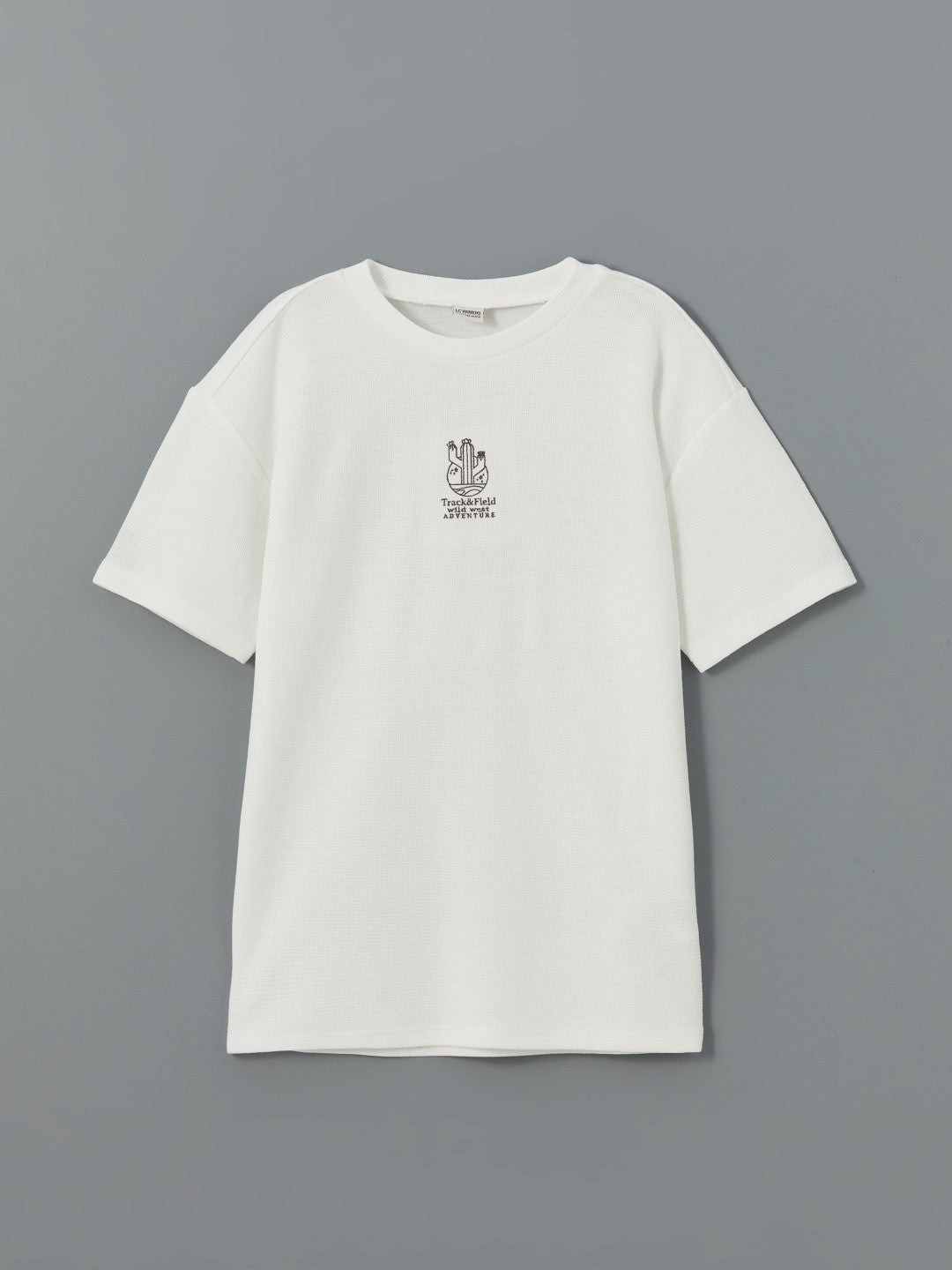 LCW Kids Crew Neck Boy T-Shirt