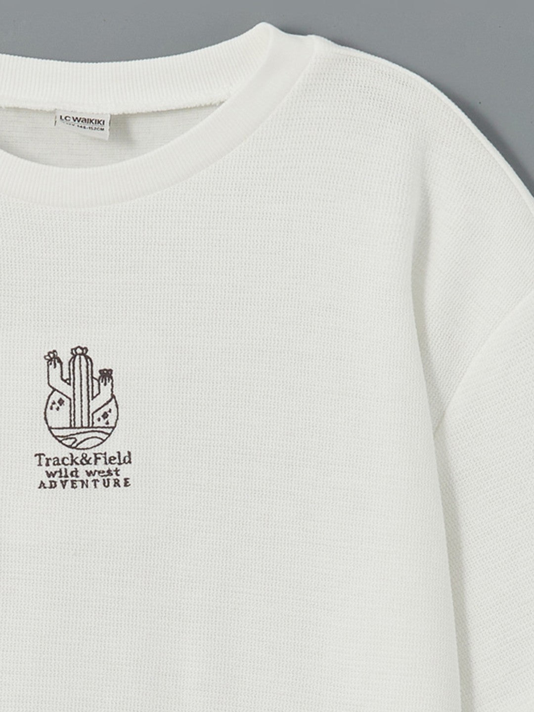 LCW Kids Crew Neck Boy T-Shirt