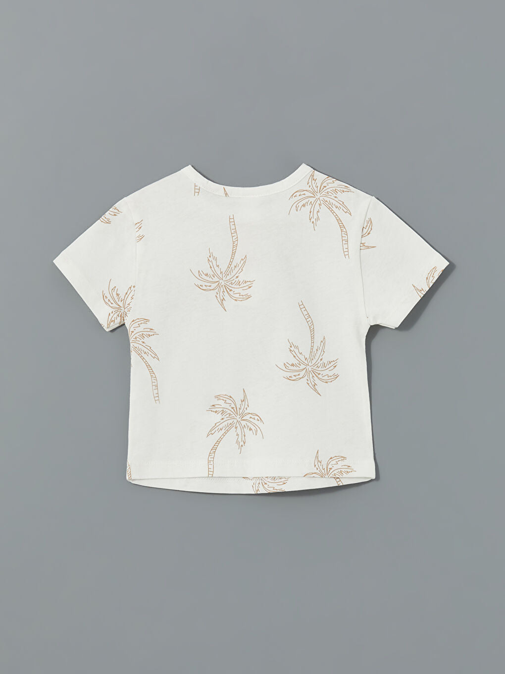 LCW baby Ecru Crew Neck Printed Baby Boy T-shirt and Pants 2-Piece Set