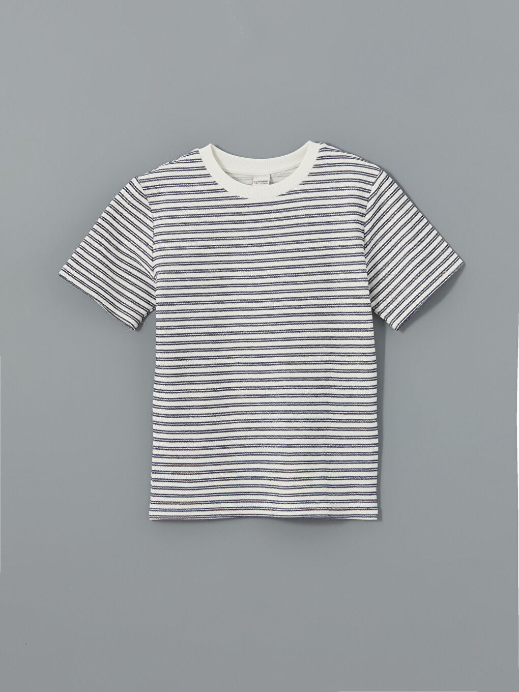 LCW Kids Navy Blue Crew Neck Boy T-Shirt